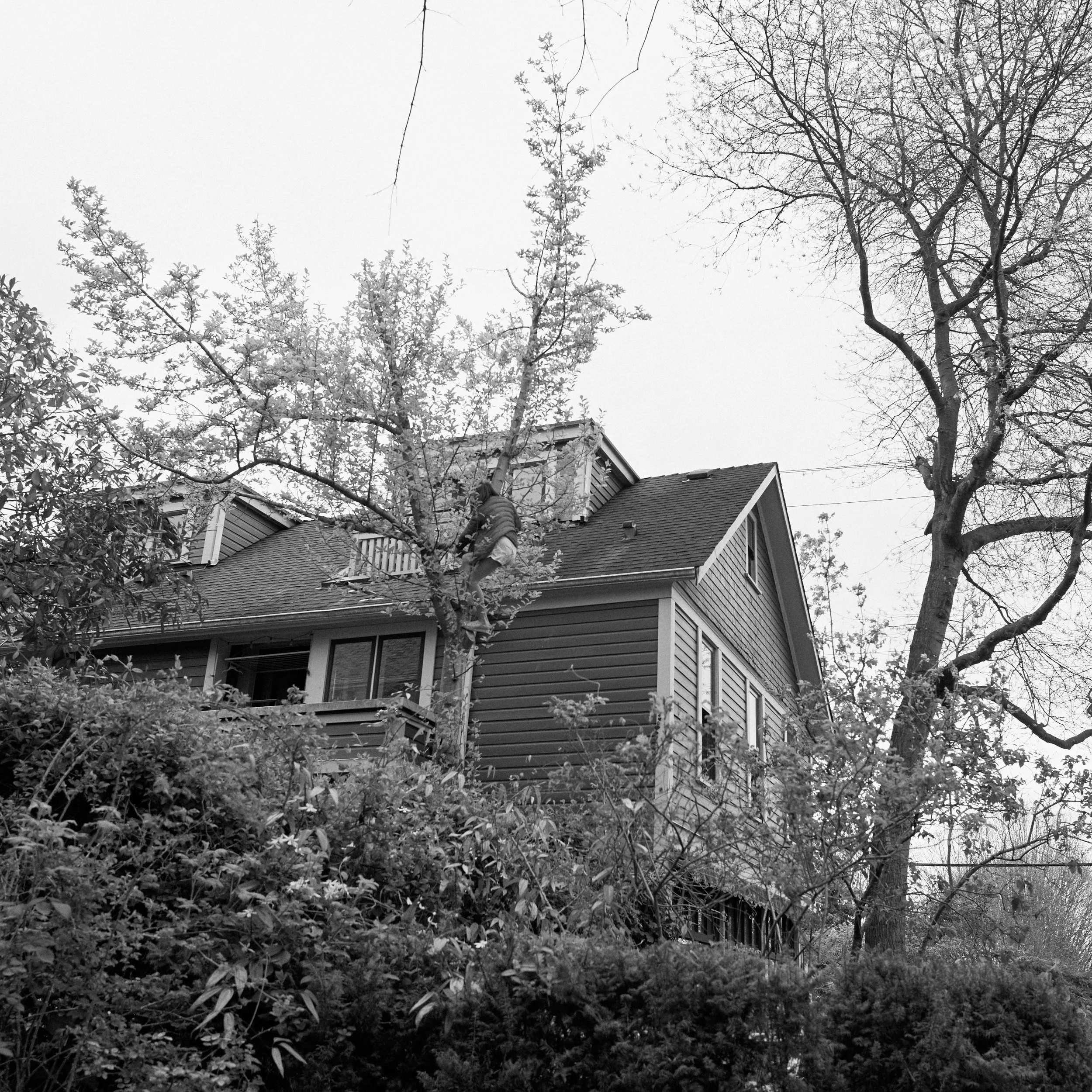 23-L1040195-Toth-©-websize.jpg