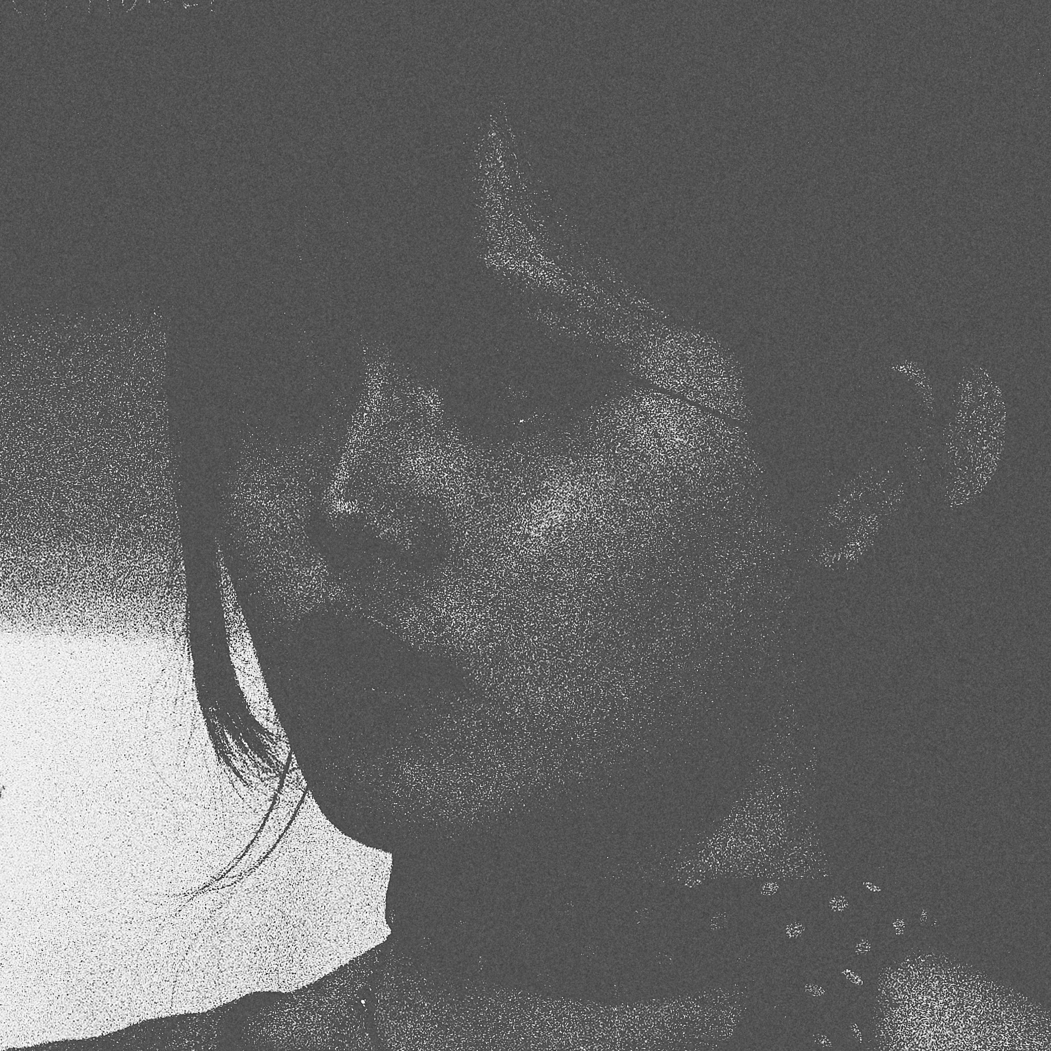 2026-Q1010279-toth-© 1.jpg