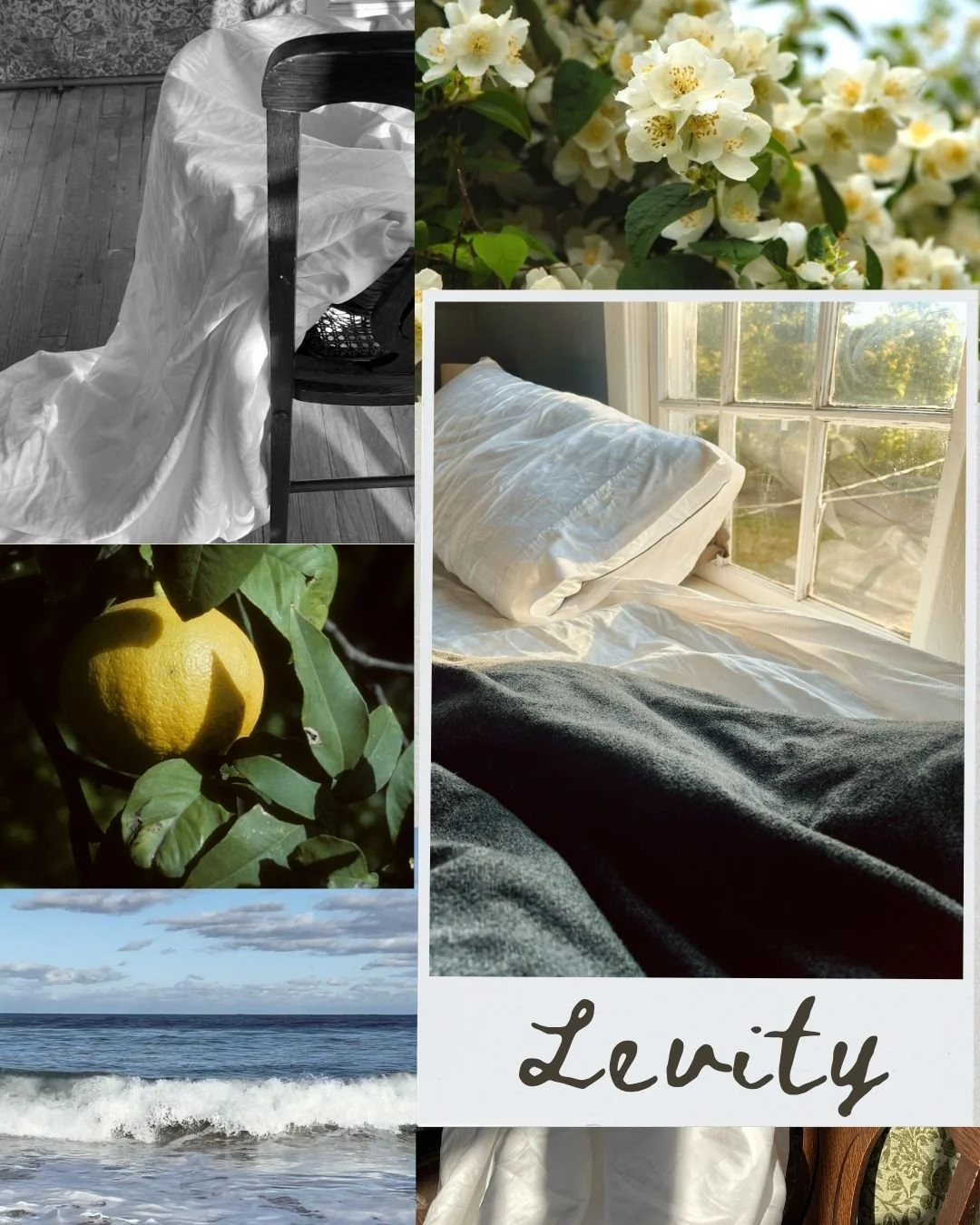 revel in a moment of levity (1).jpg