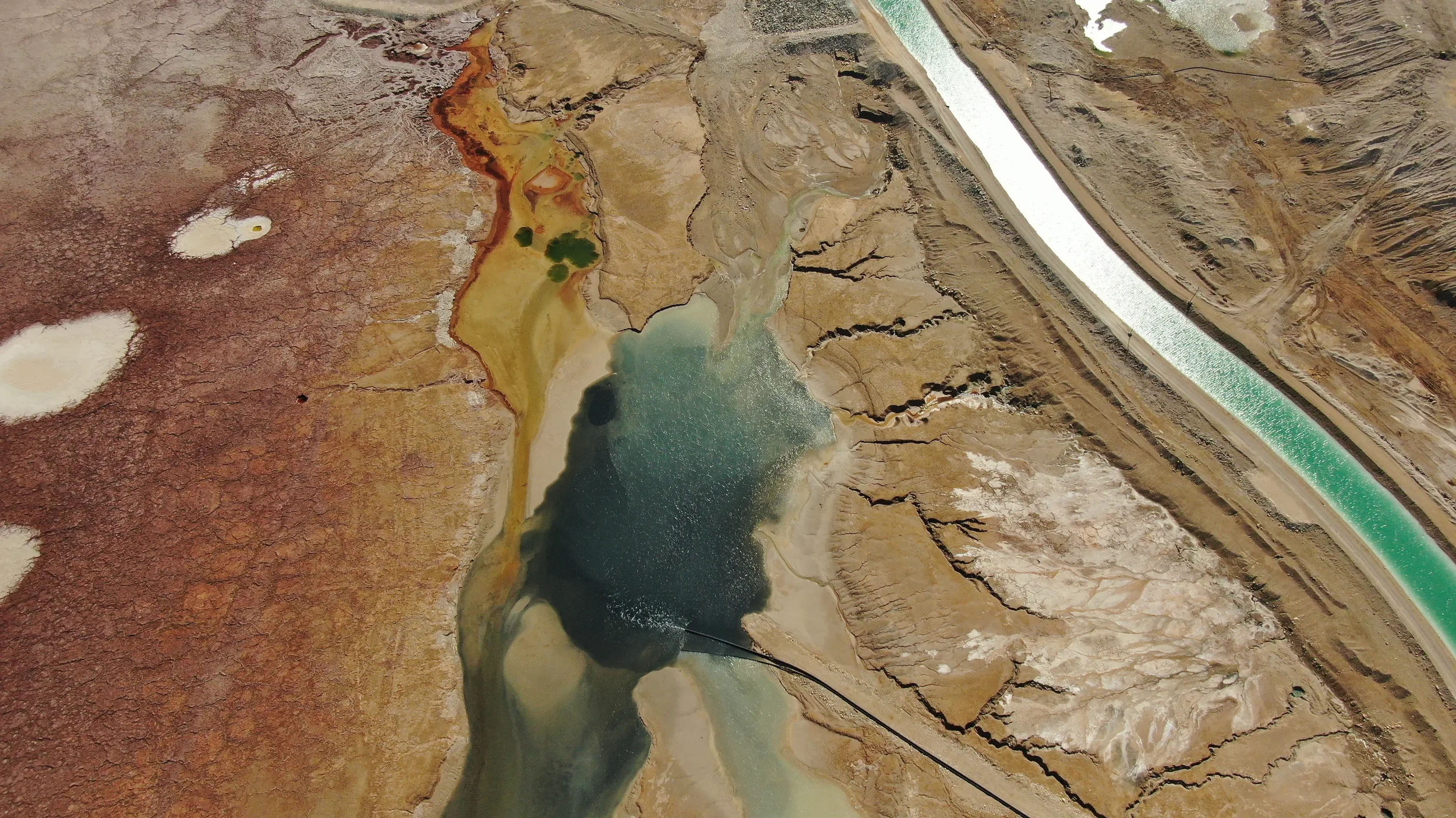 quality(80) (1).webp