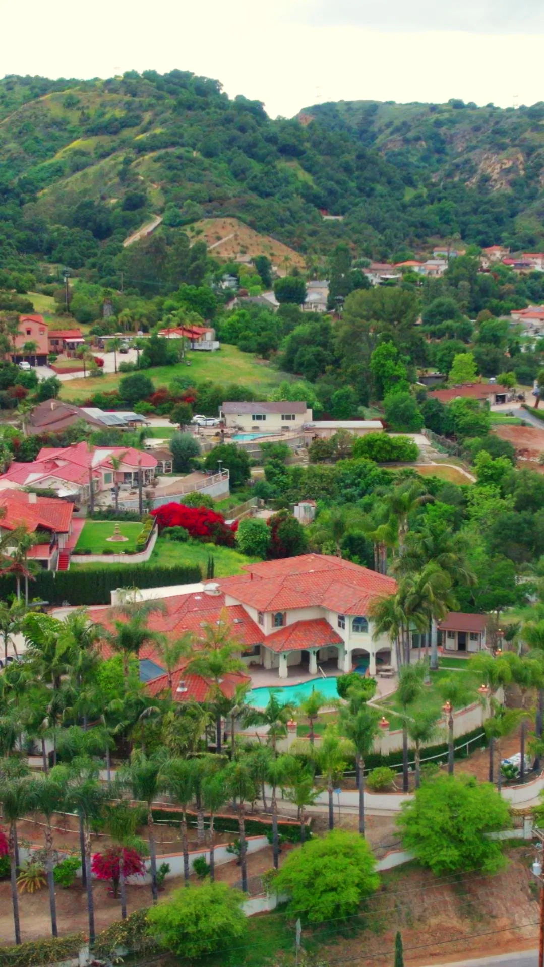 A scenic view of a hillside residential area with houses, lush greenery, and a swimming pool surrounded by palm trees using a drone.