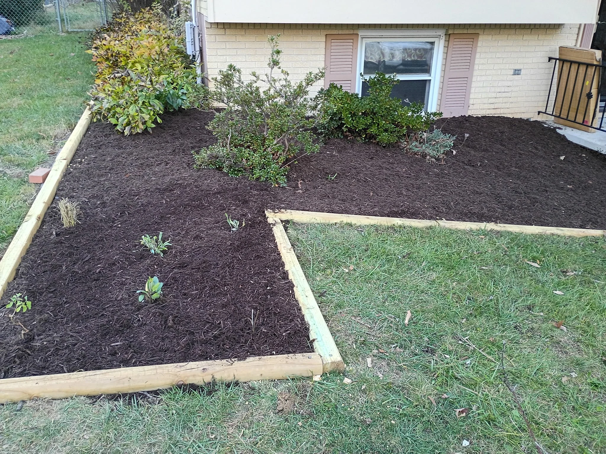 Garden bed with freshly planted flowers and shrubs, bordered by wooden planks, adjacent to a house with a window and shutters.