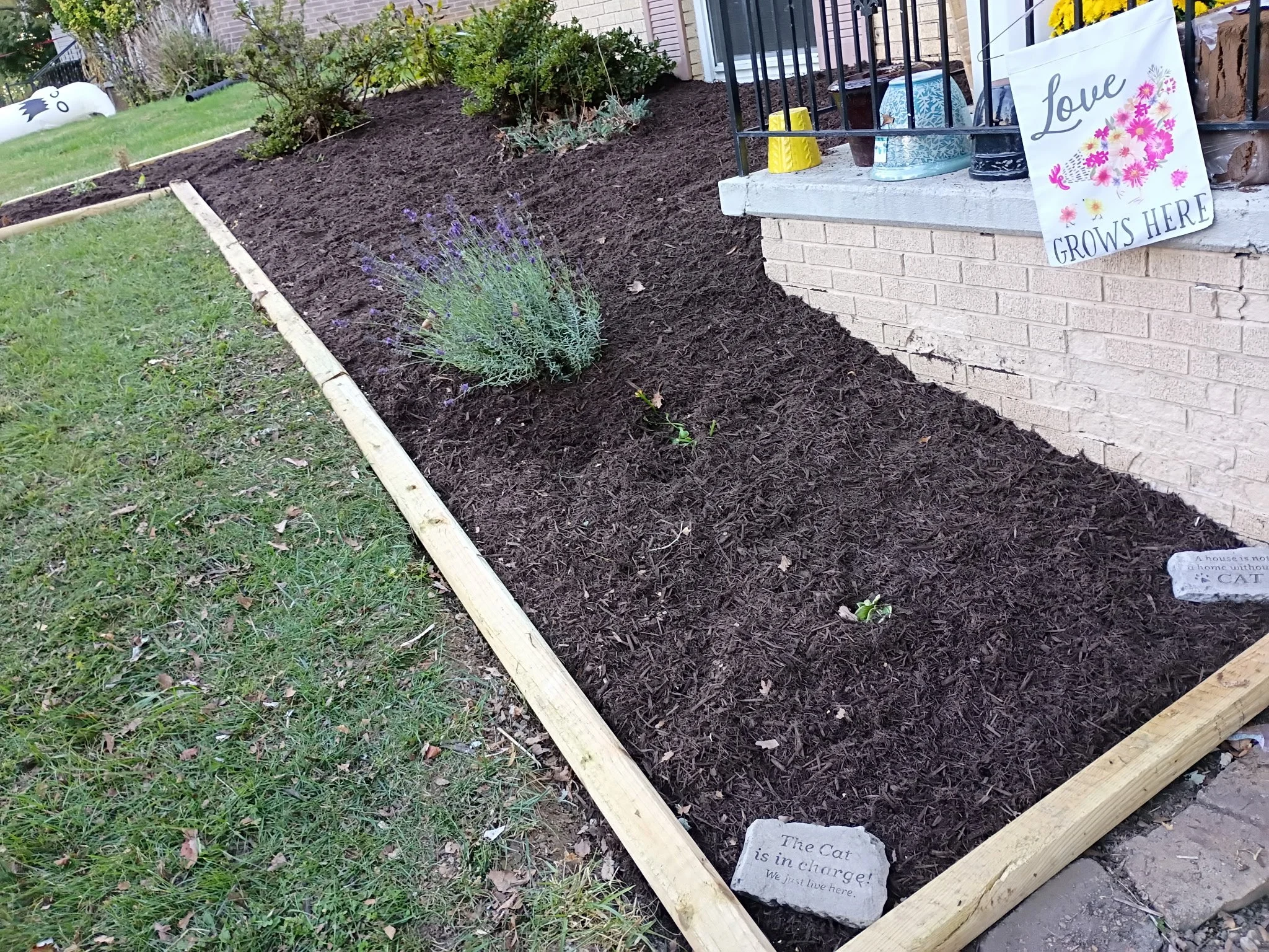 A garden bed with freshly tilled soil, bordered by wooden planks, with a lavender plant and small seedlings, next to a house with a brick wall. Garden decorations include signs that say 'Love Grows Here' and 'The Cat is in charge!'