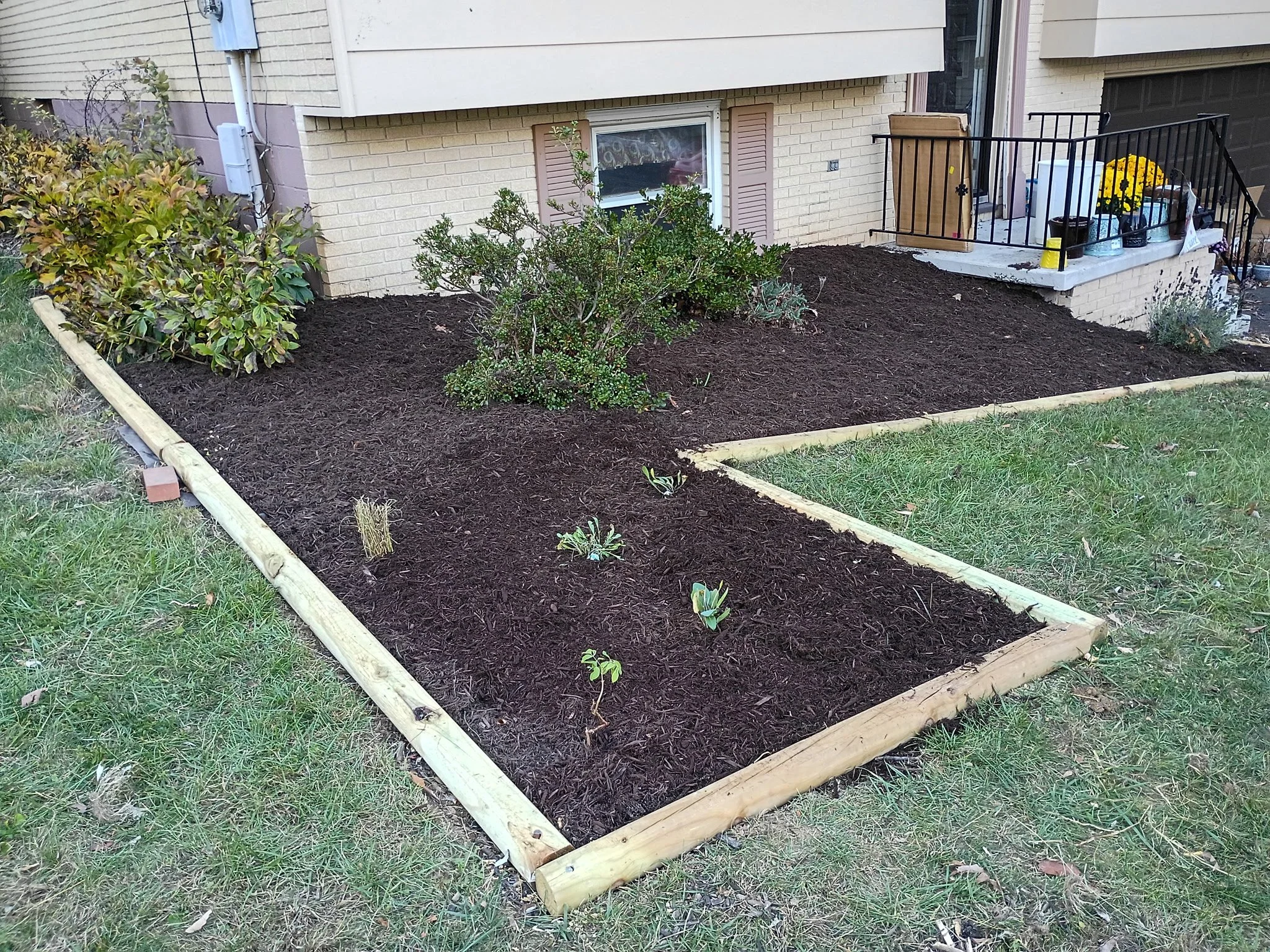 A newly landscaped garden bed with dark mulch, bordered by wooden planks, with small plants and shrubs in front of a house with brick walls and a small porch.
