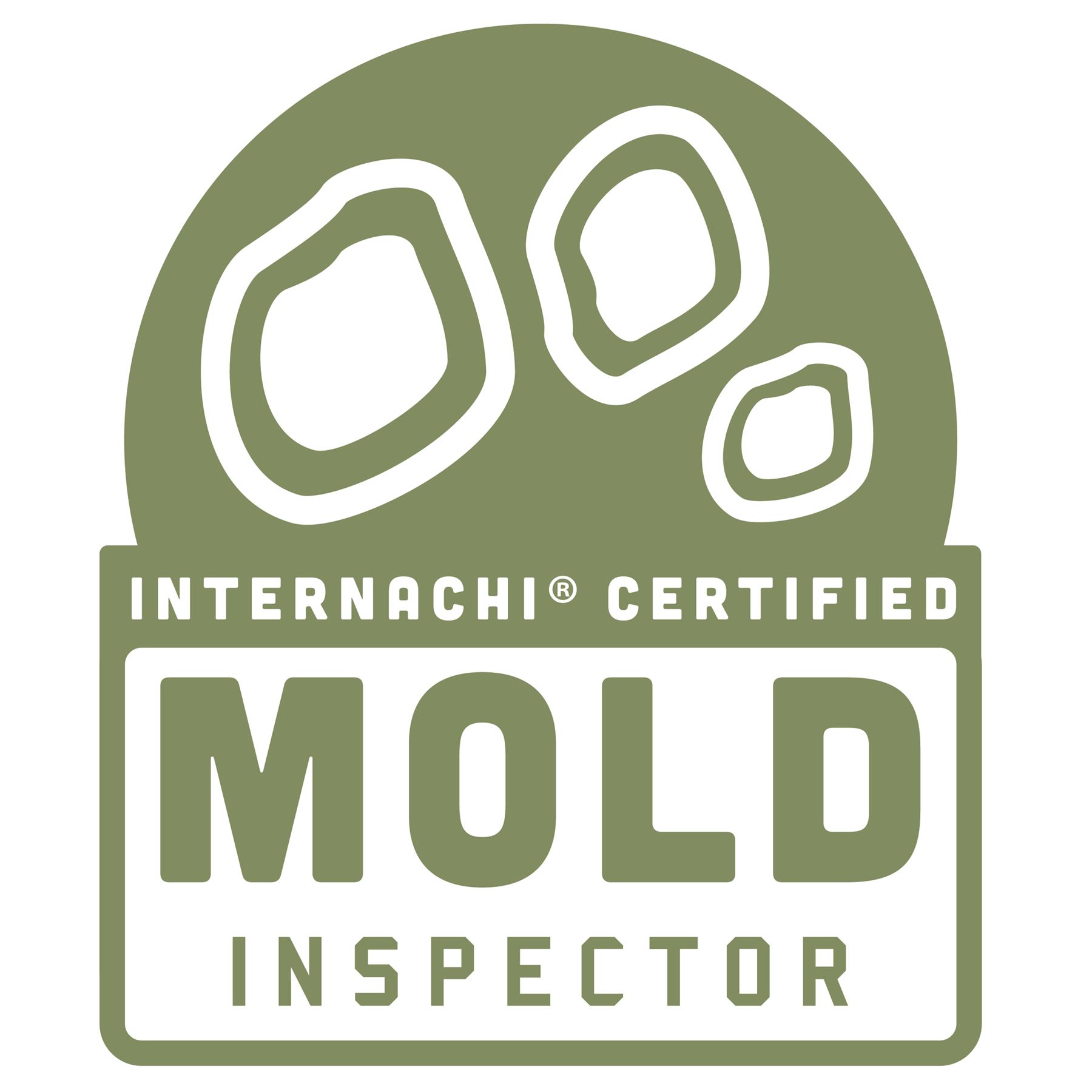 Mold Logo.png
