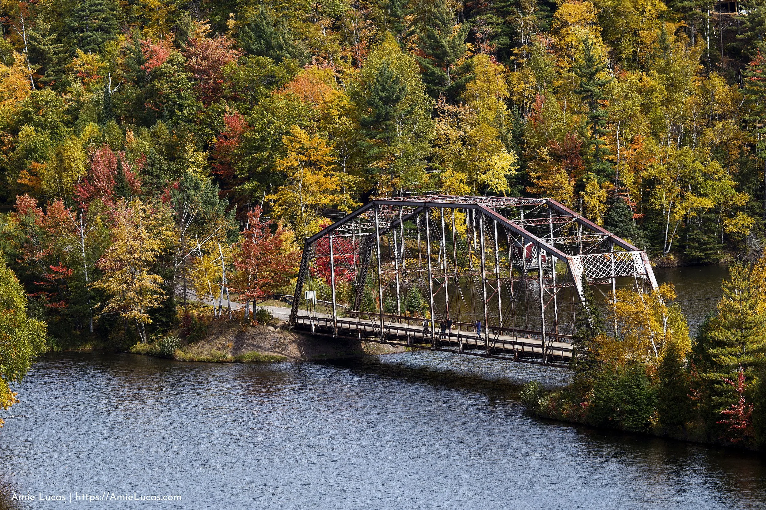 510-steel-bridge.jpg