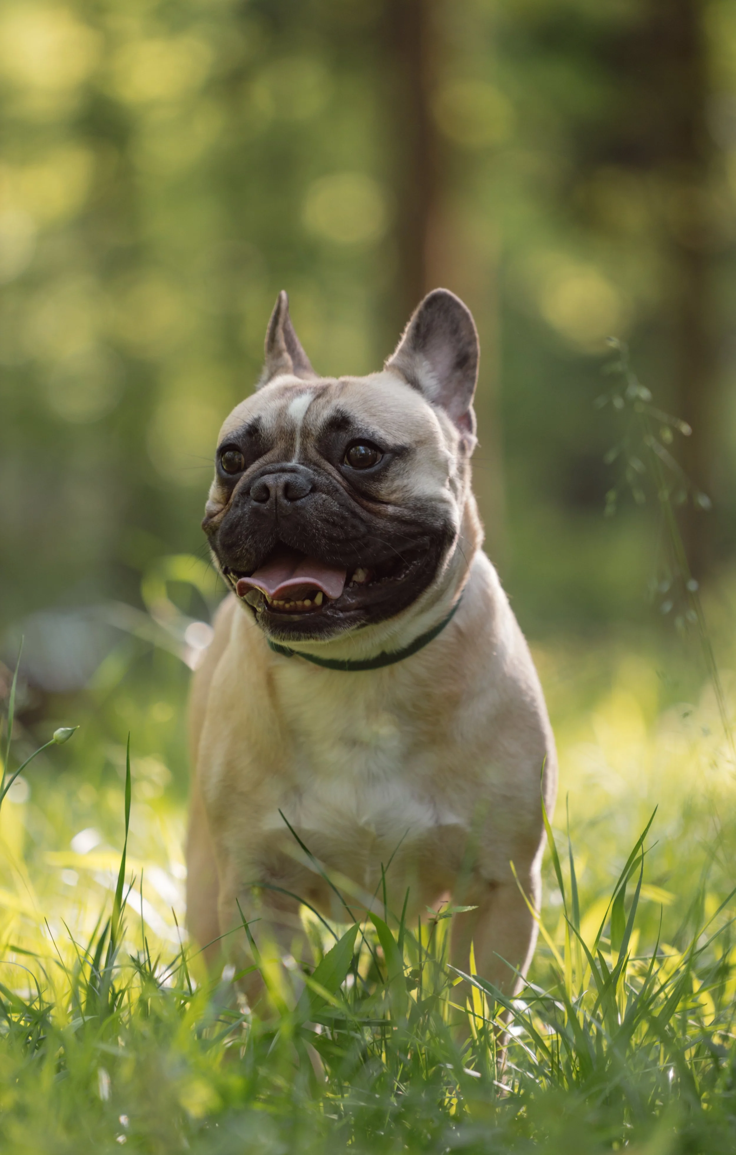 Mountain Brook Alabama, April 2025