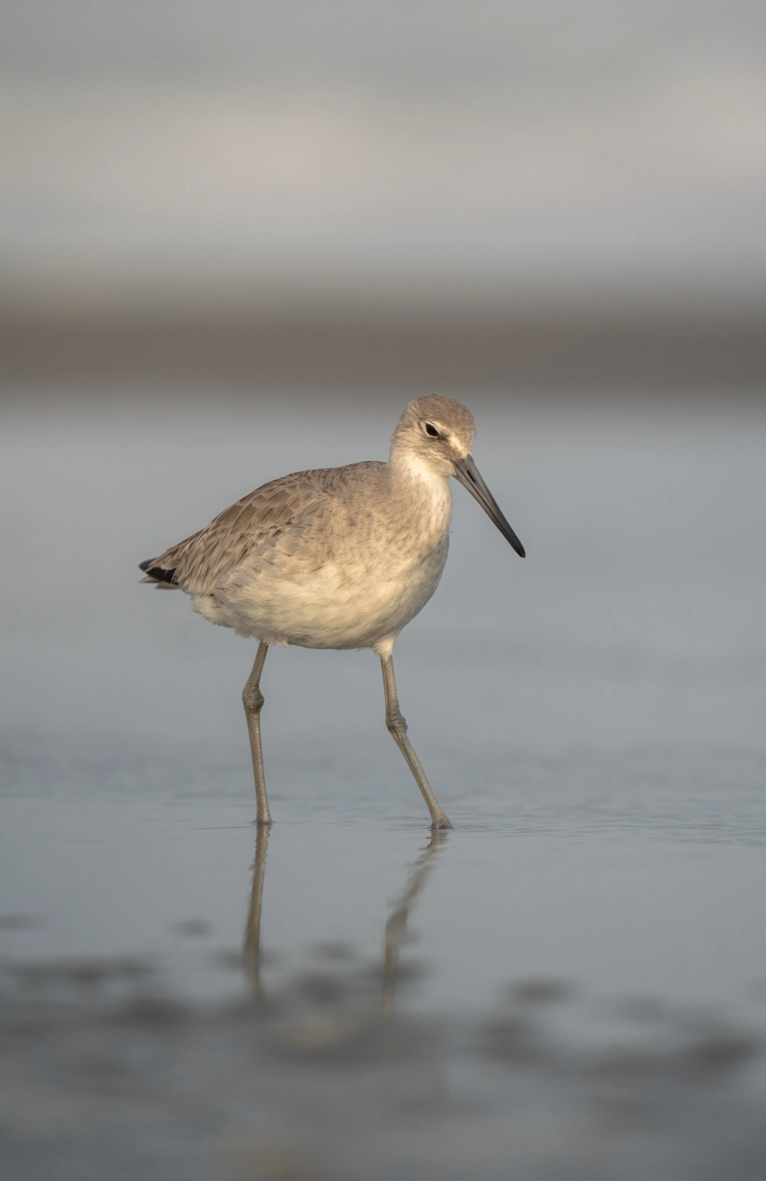 Charleston SC, March 2026