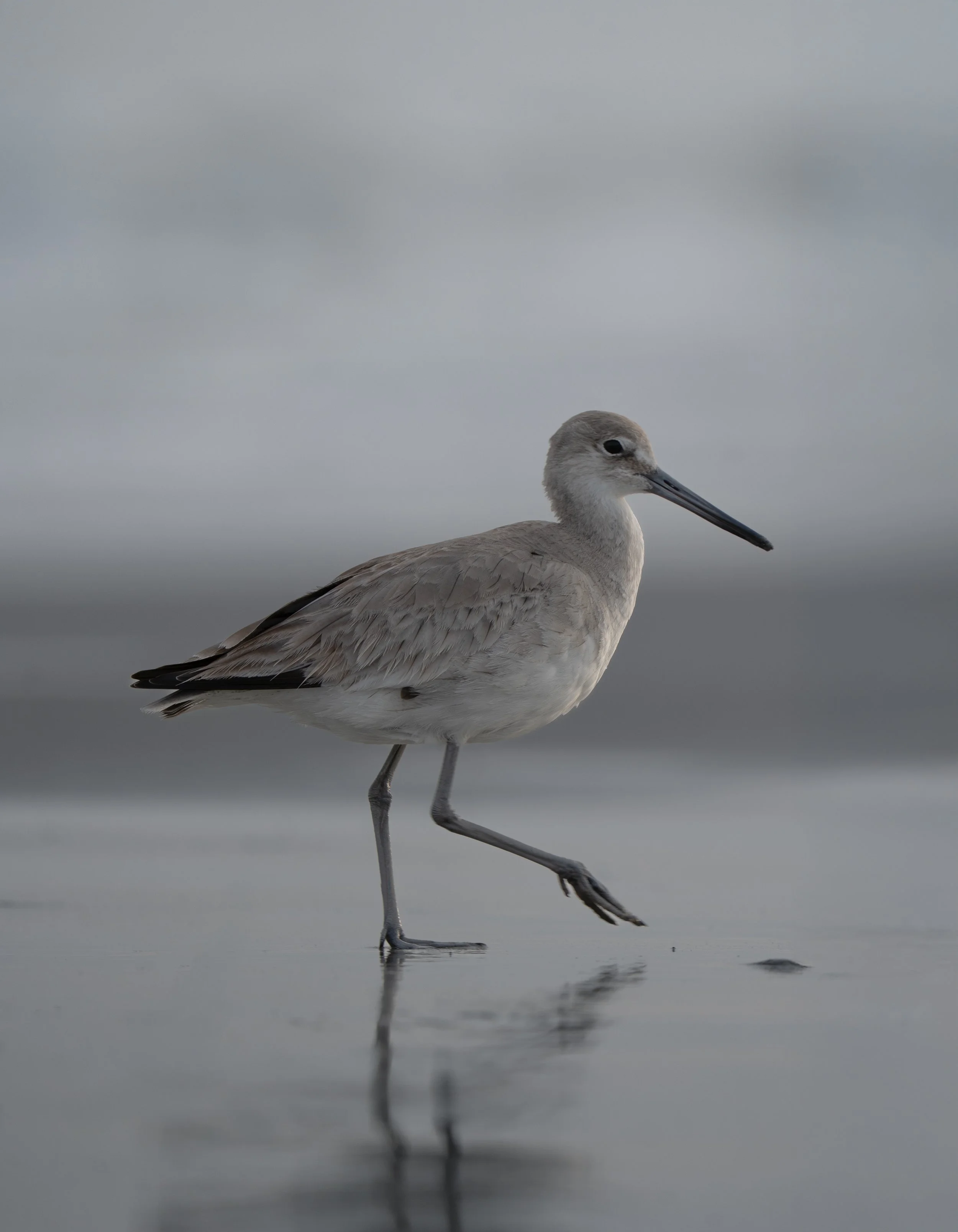 Charleston SC, March 2026