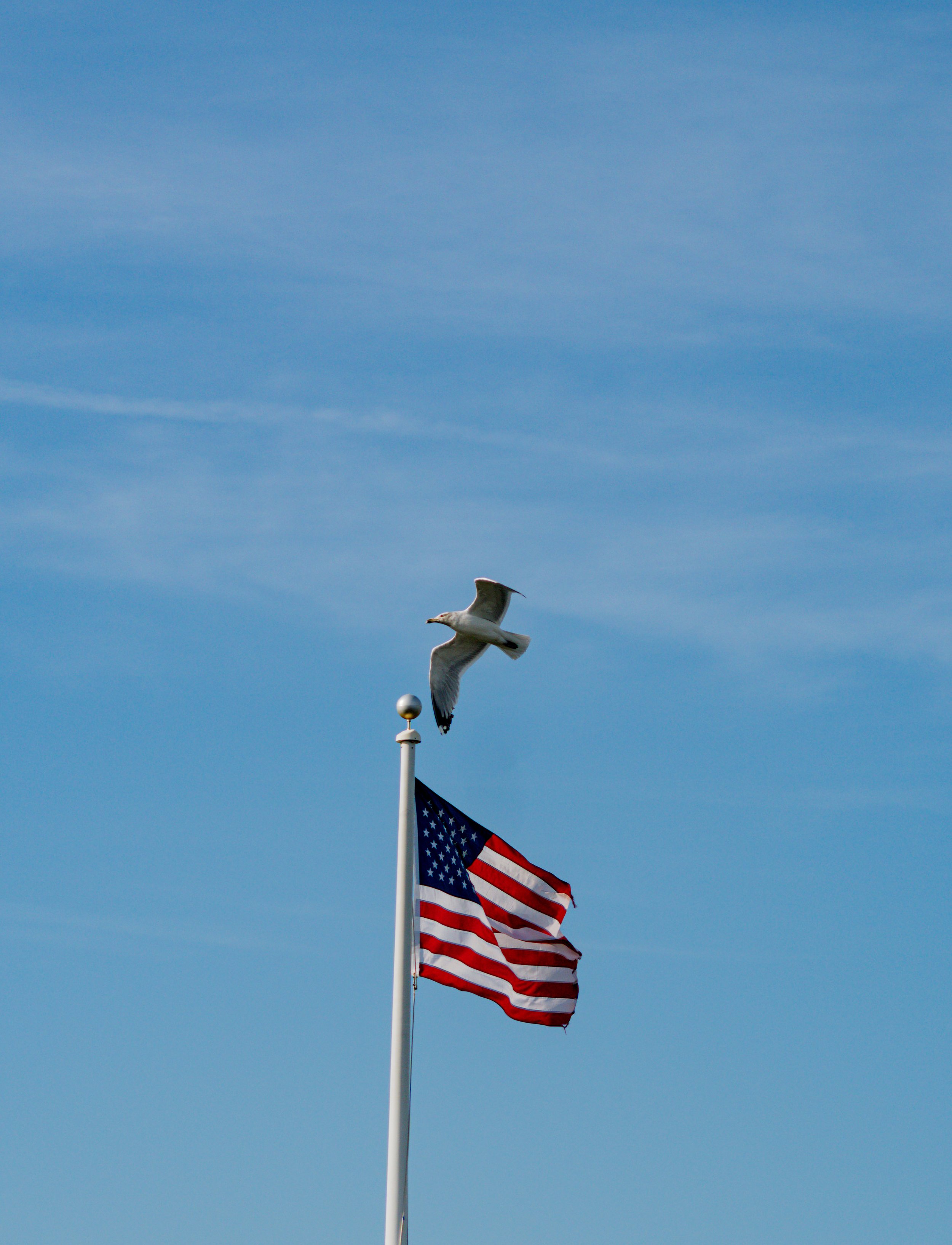 New England, June 2025