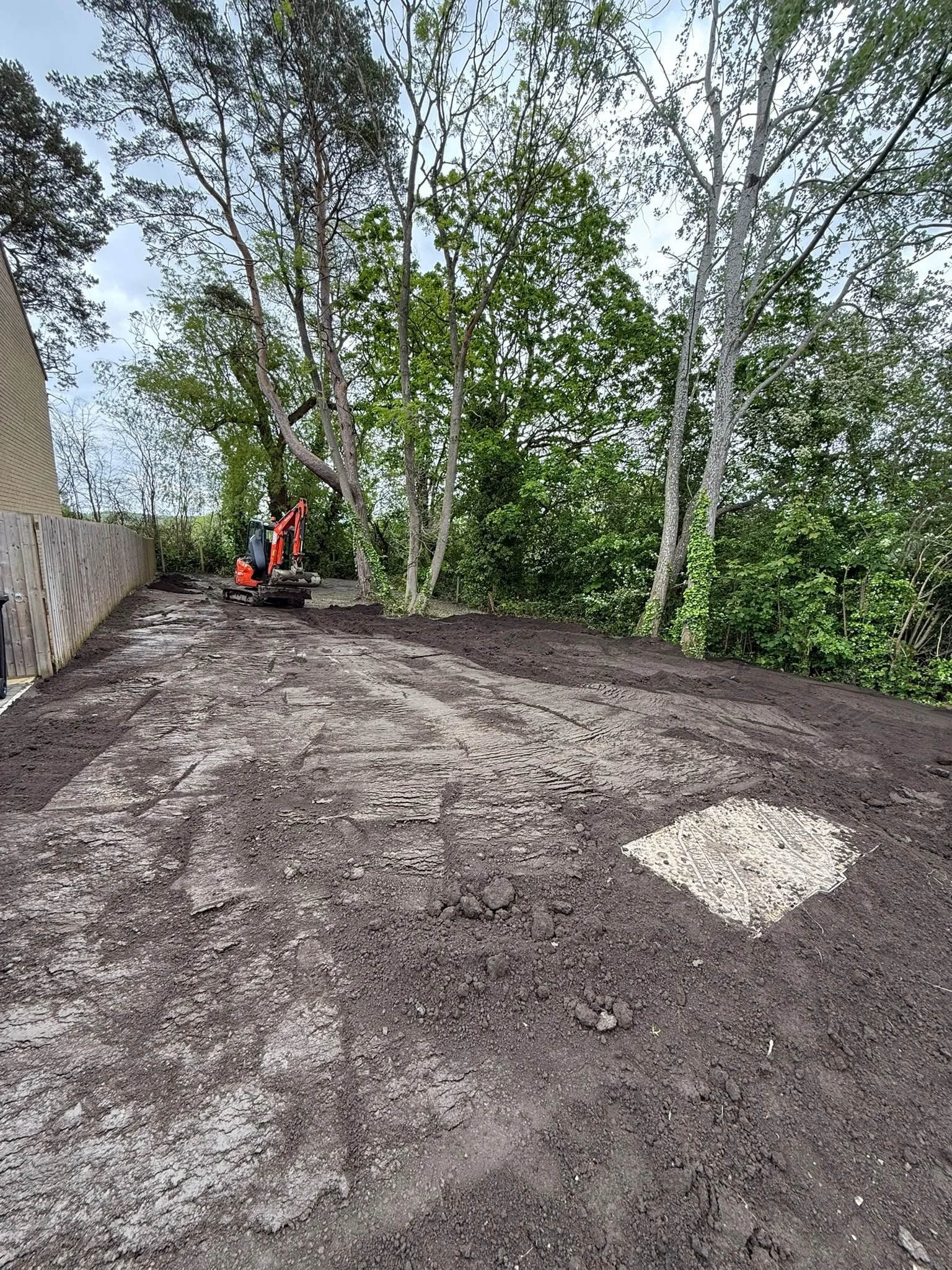 Excavator carrying out ground preparation beside mature trees