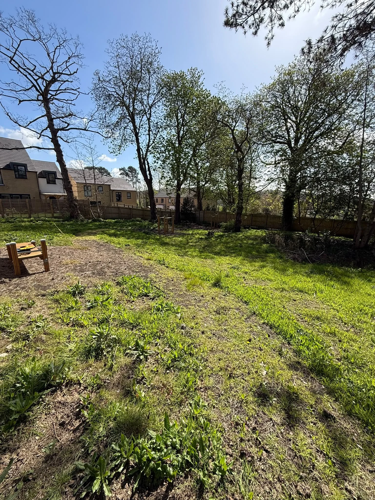 Grassy habitat area beneath mature trees beside a residential development