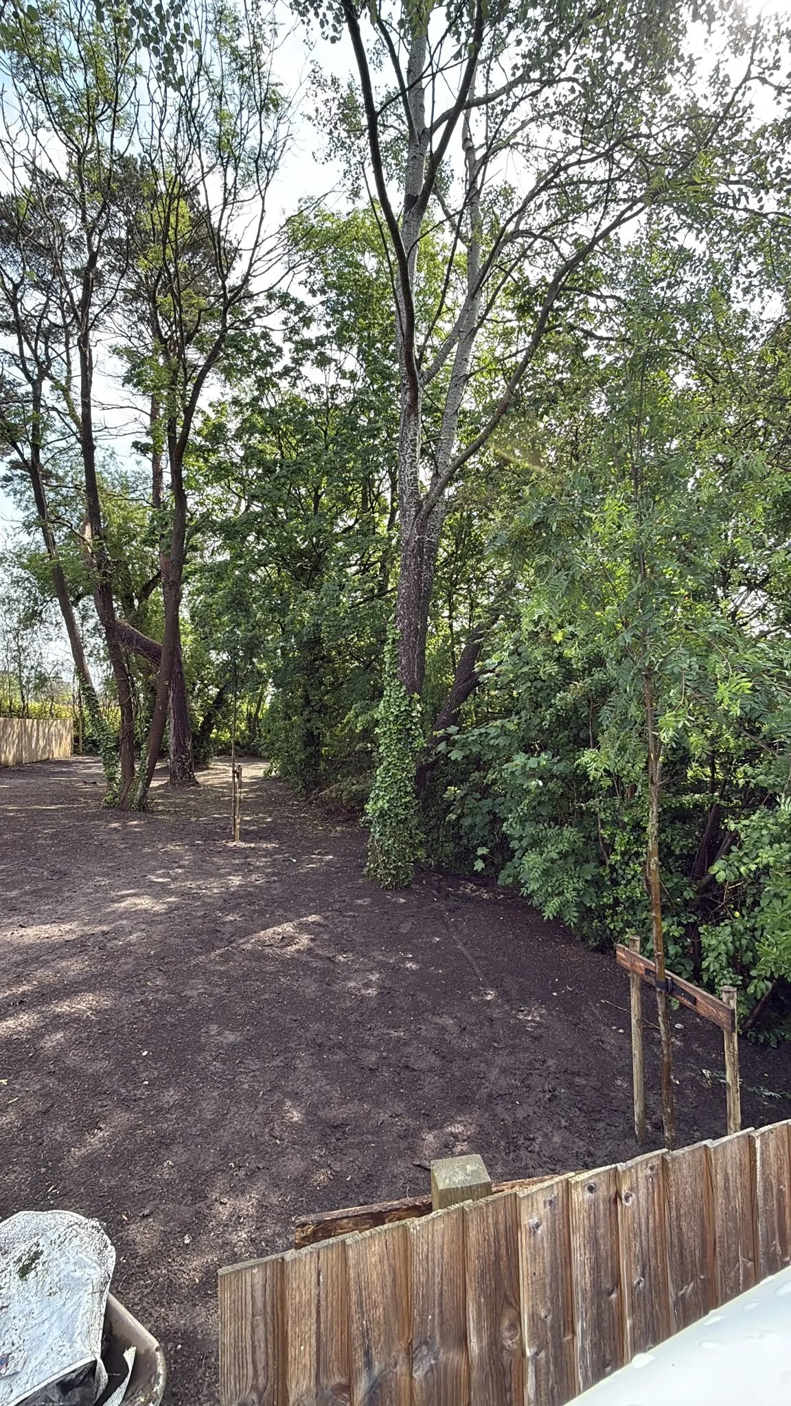 Prepared habitat area with newly supported young trees