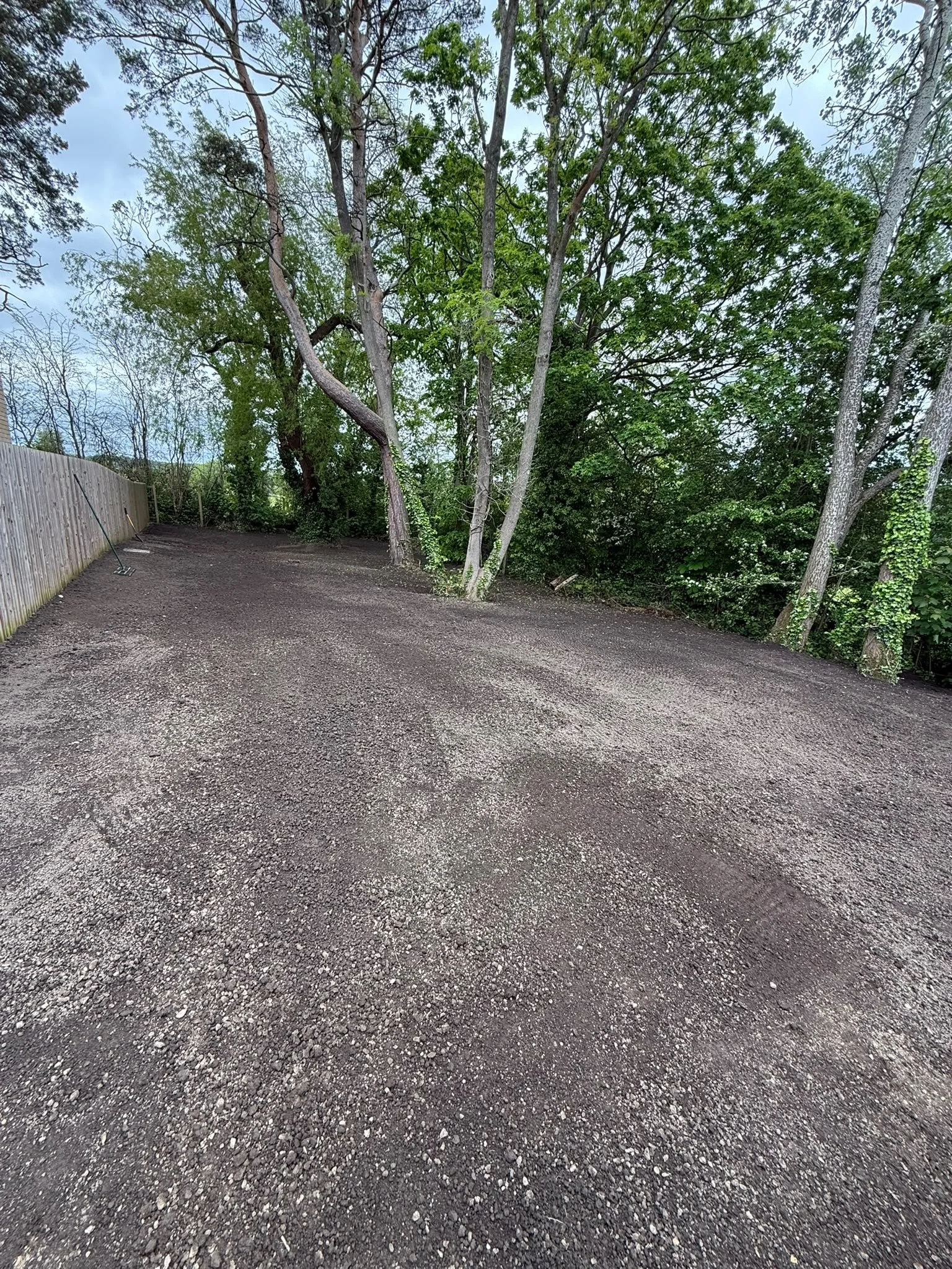 Freshly prepared ground beneath mature trees beside a timber fence