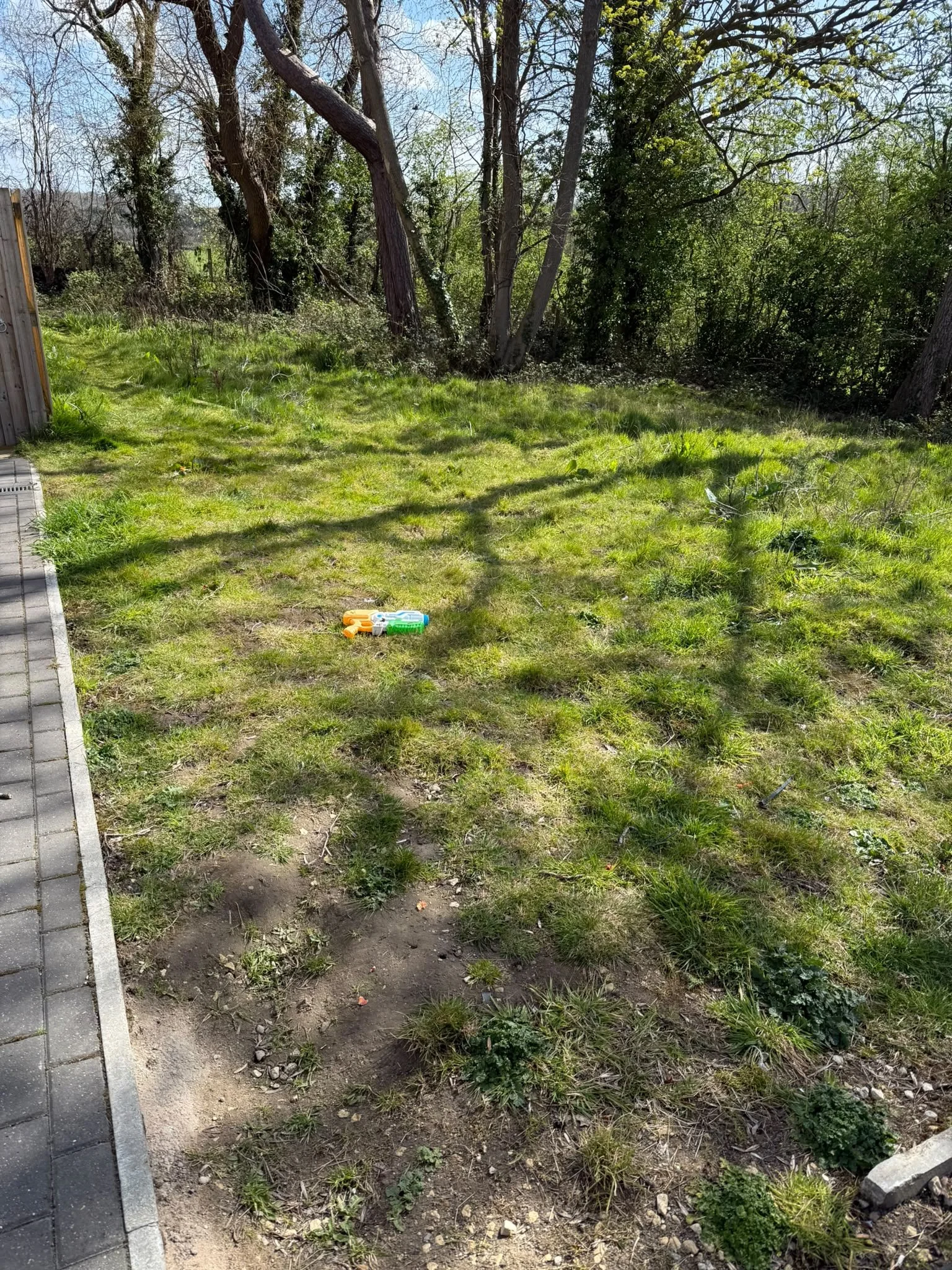 Establishing grass beside a paved path and woodland edge