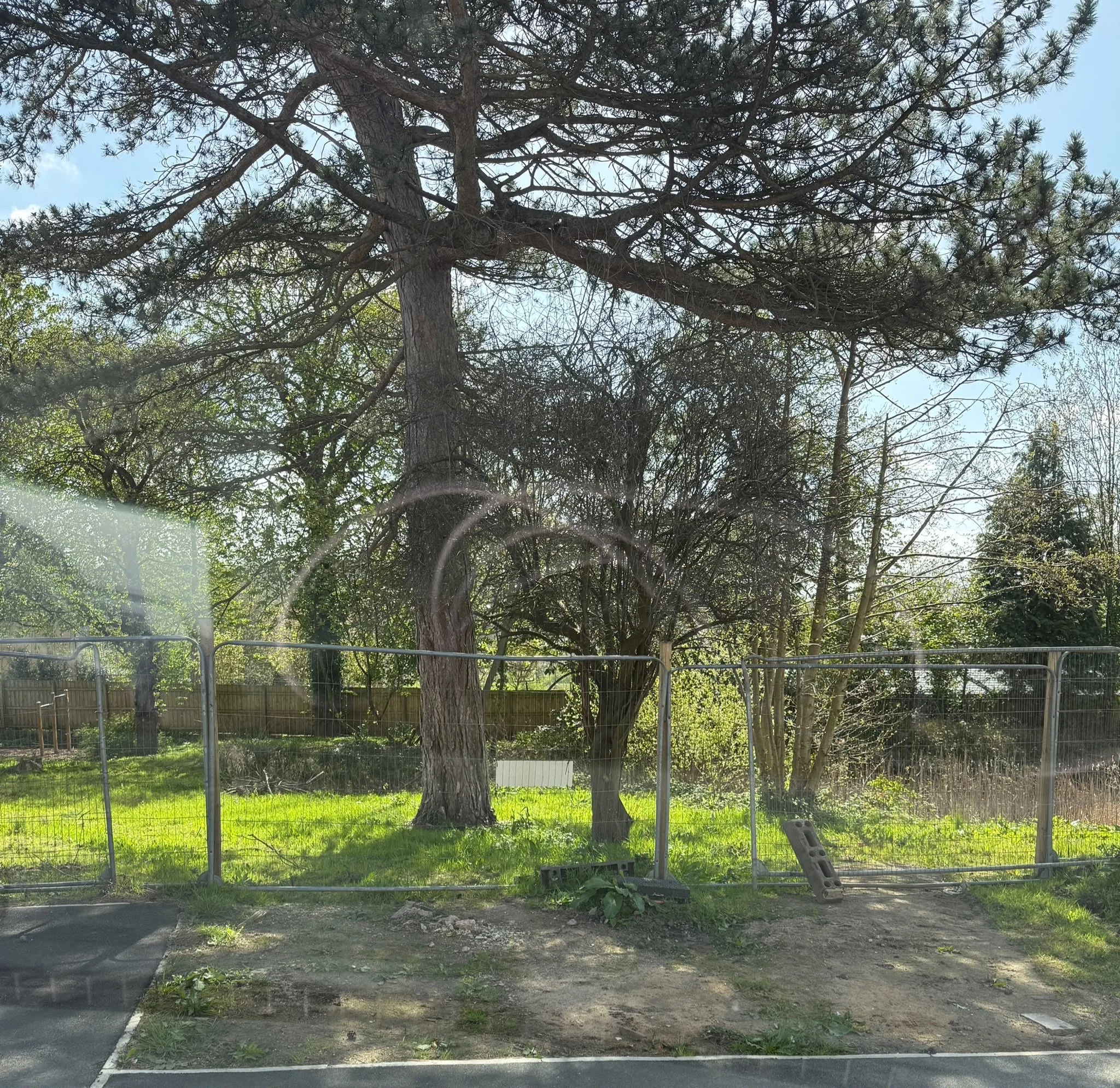 Mature trees and grassland enclosed by temporary site fencing