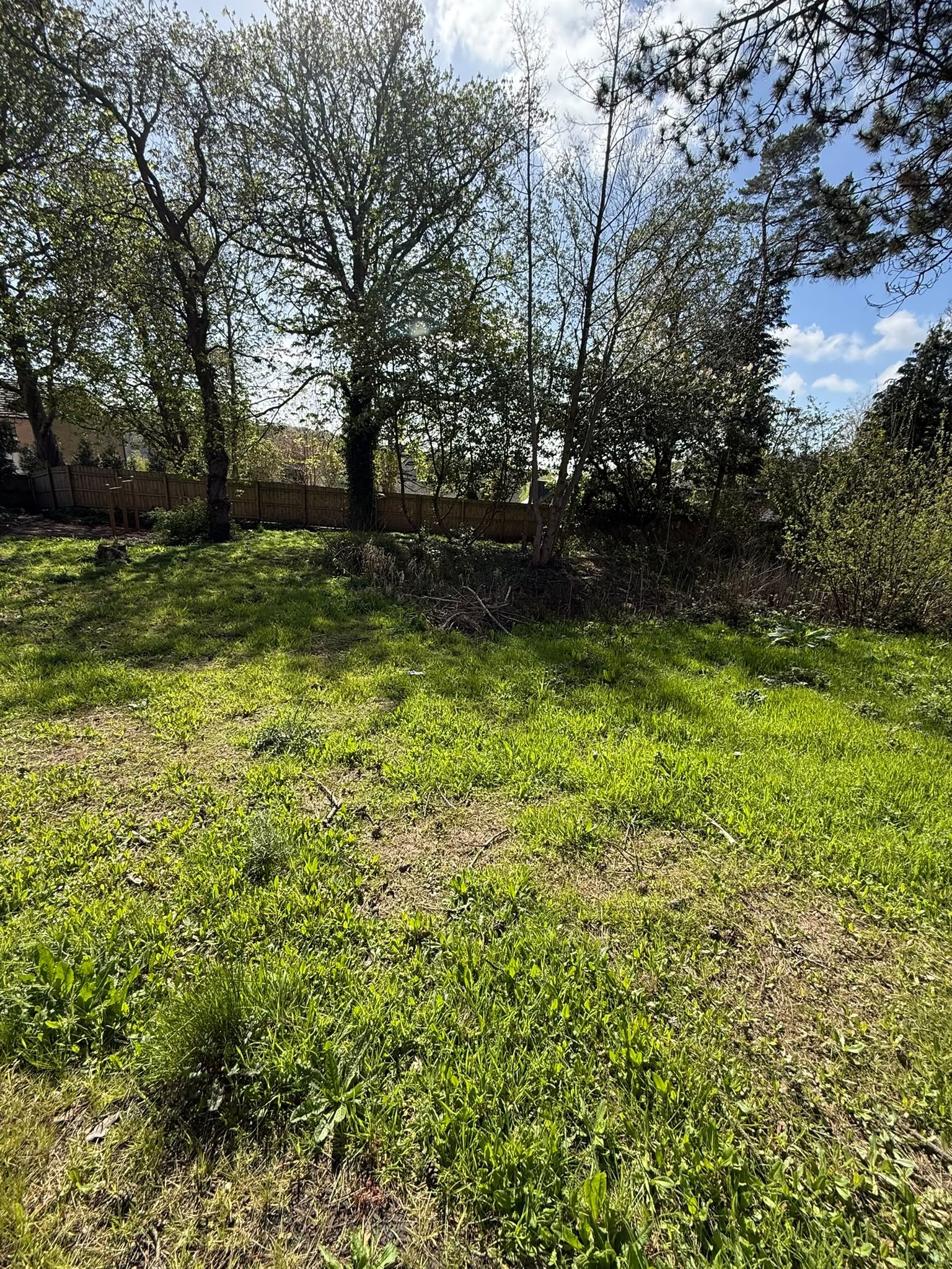 Established grass beneath mature trees at the habitat site