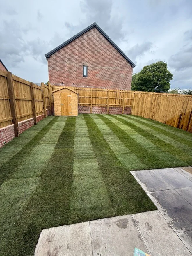 Newly laid striped turf in a fenced rear garden