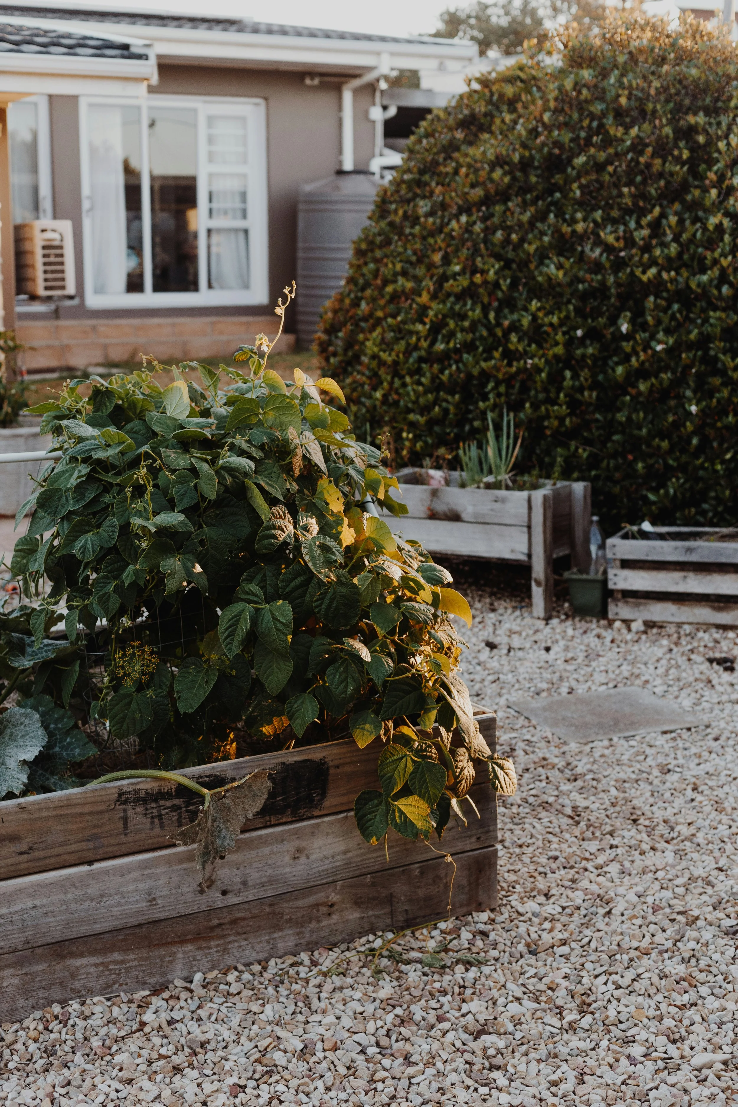 Raised sleeper bed in garden