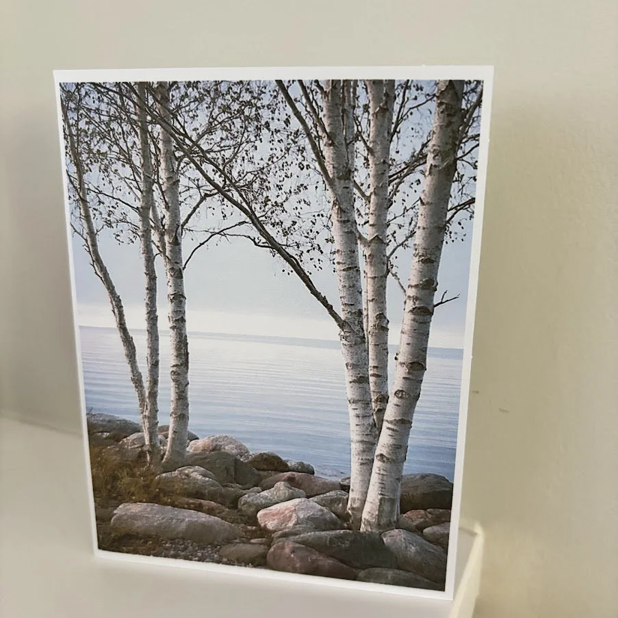 2026_AWS_Quiet Shore.jpg