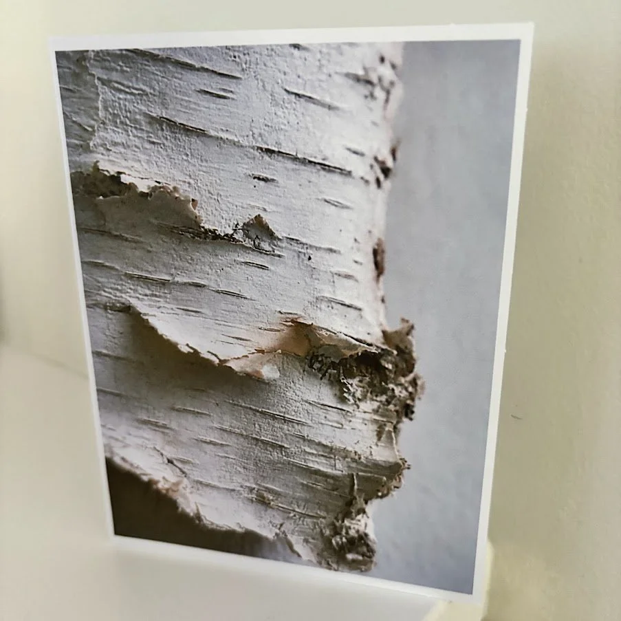 2026_AWS_Birch Texture Delicate.jpg