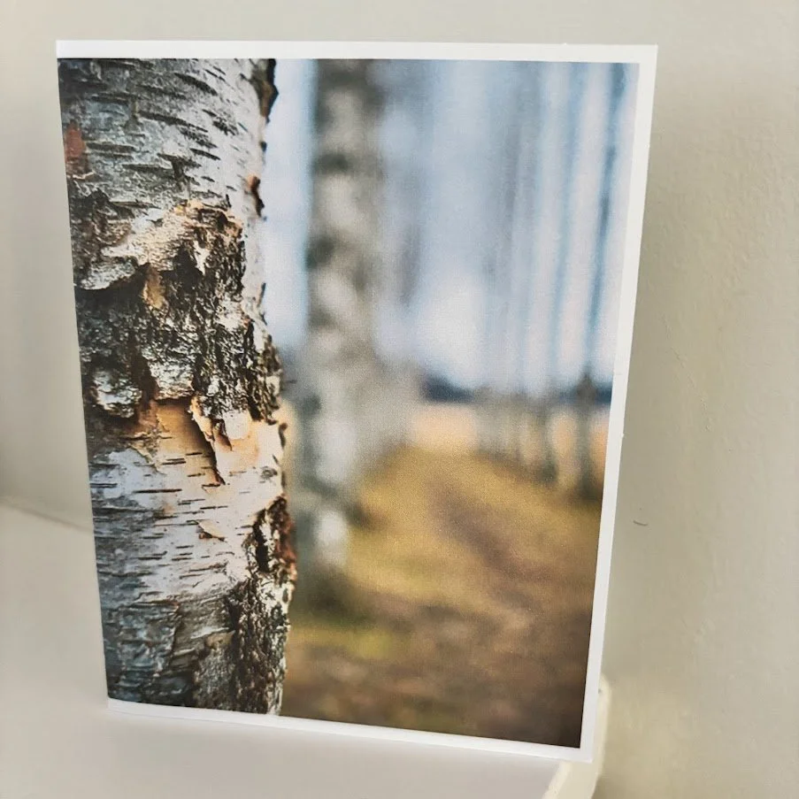 AWS_2026_Along The Birch Path.jpg