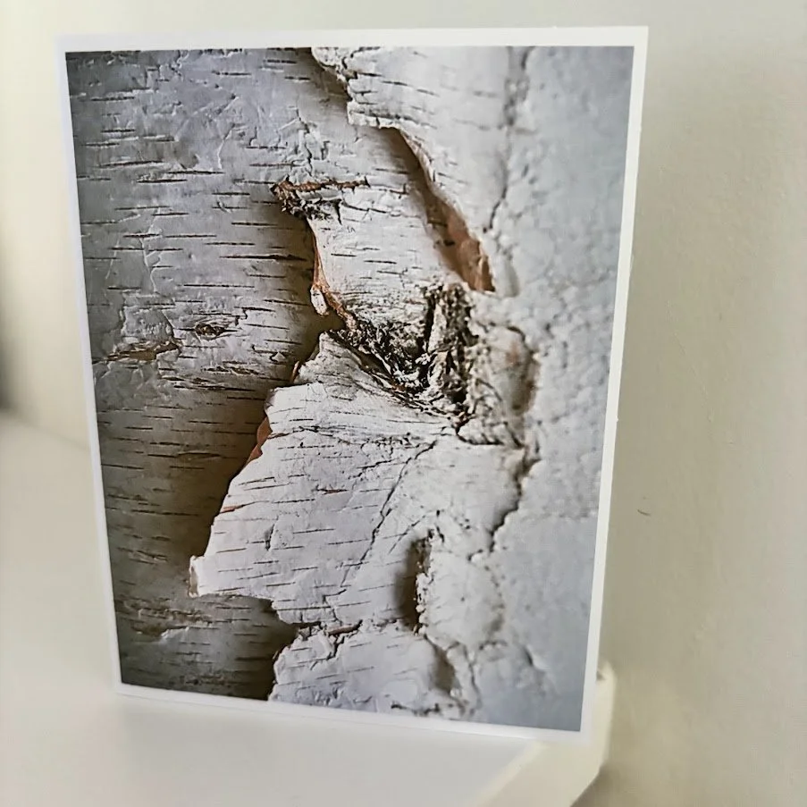 2026_AWS_Birch Texture Second Moment.jpg