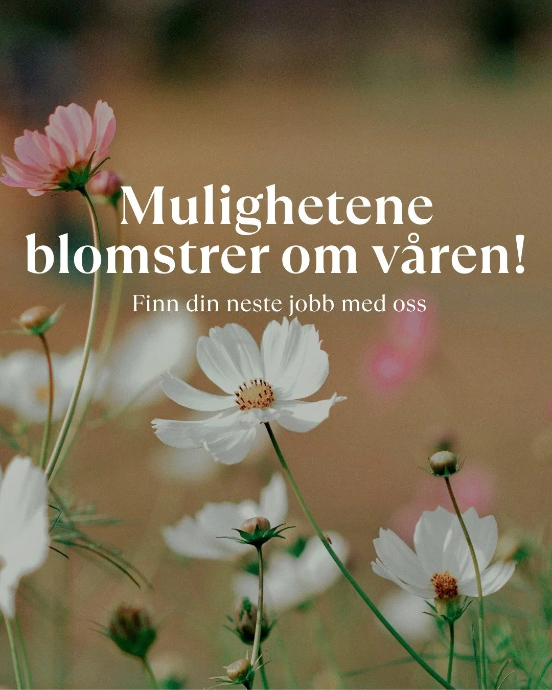 La karrieren din blomstre i &aring;r🌺🌼🌸

Registrer deg hos oss, du finner lenken i v&aring;r bio!
