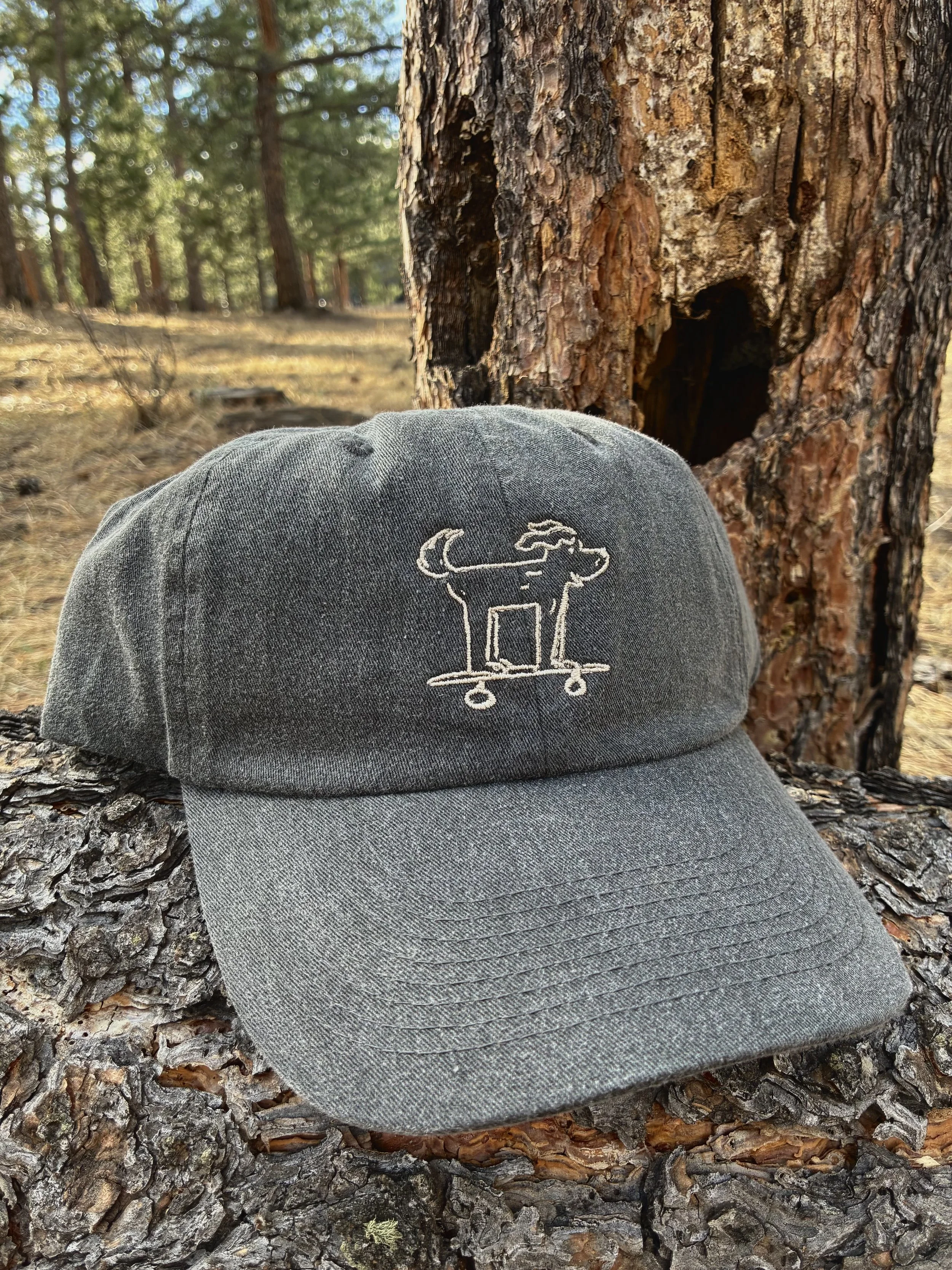 Embroidered Skateboarding Dog Dad Hat