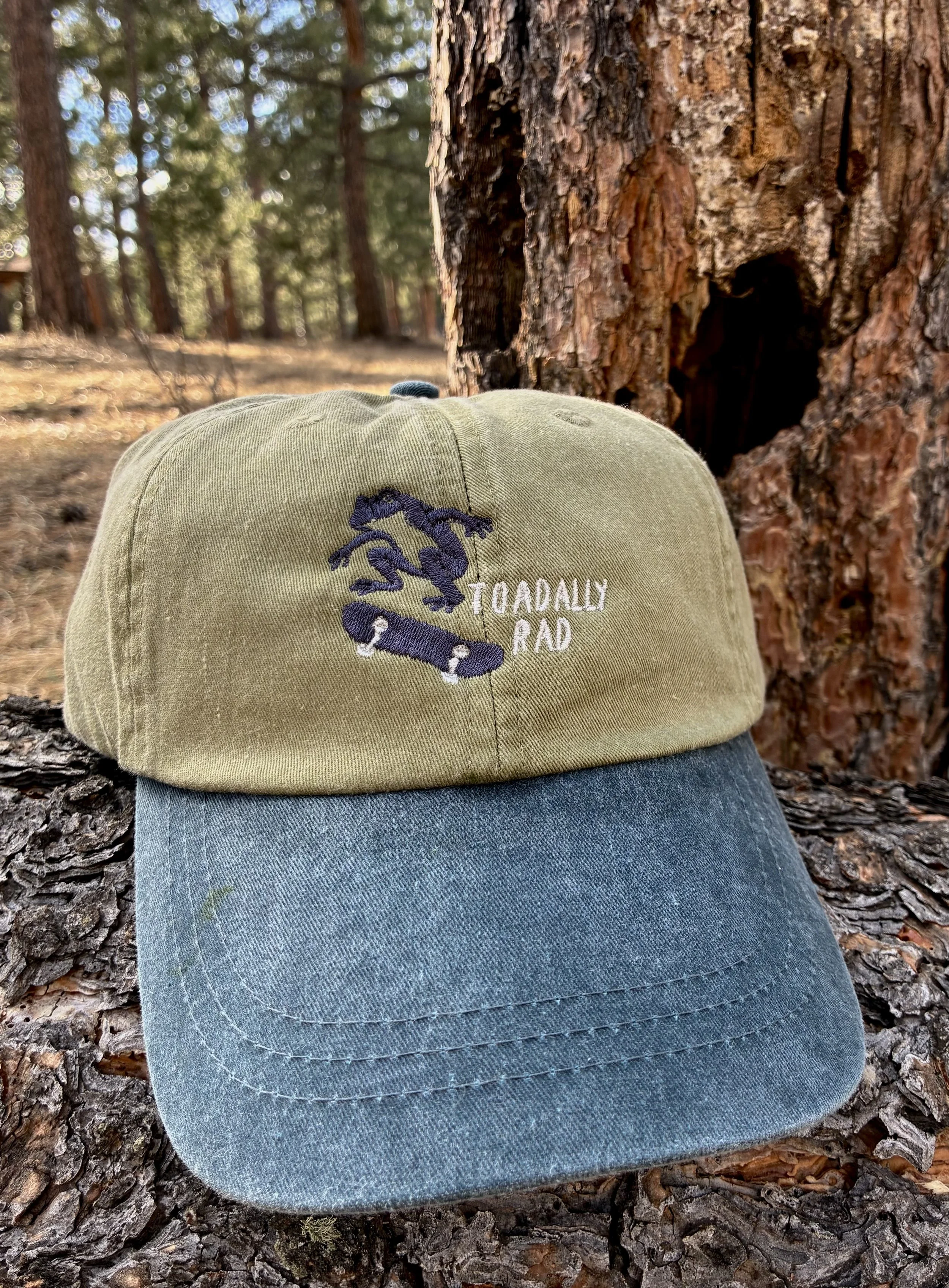 Embroidered Toadally Rad Dad Hat