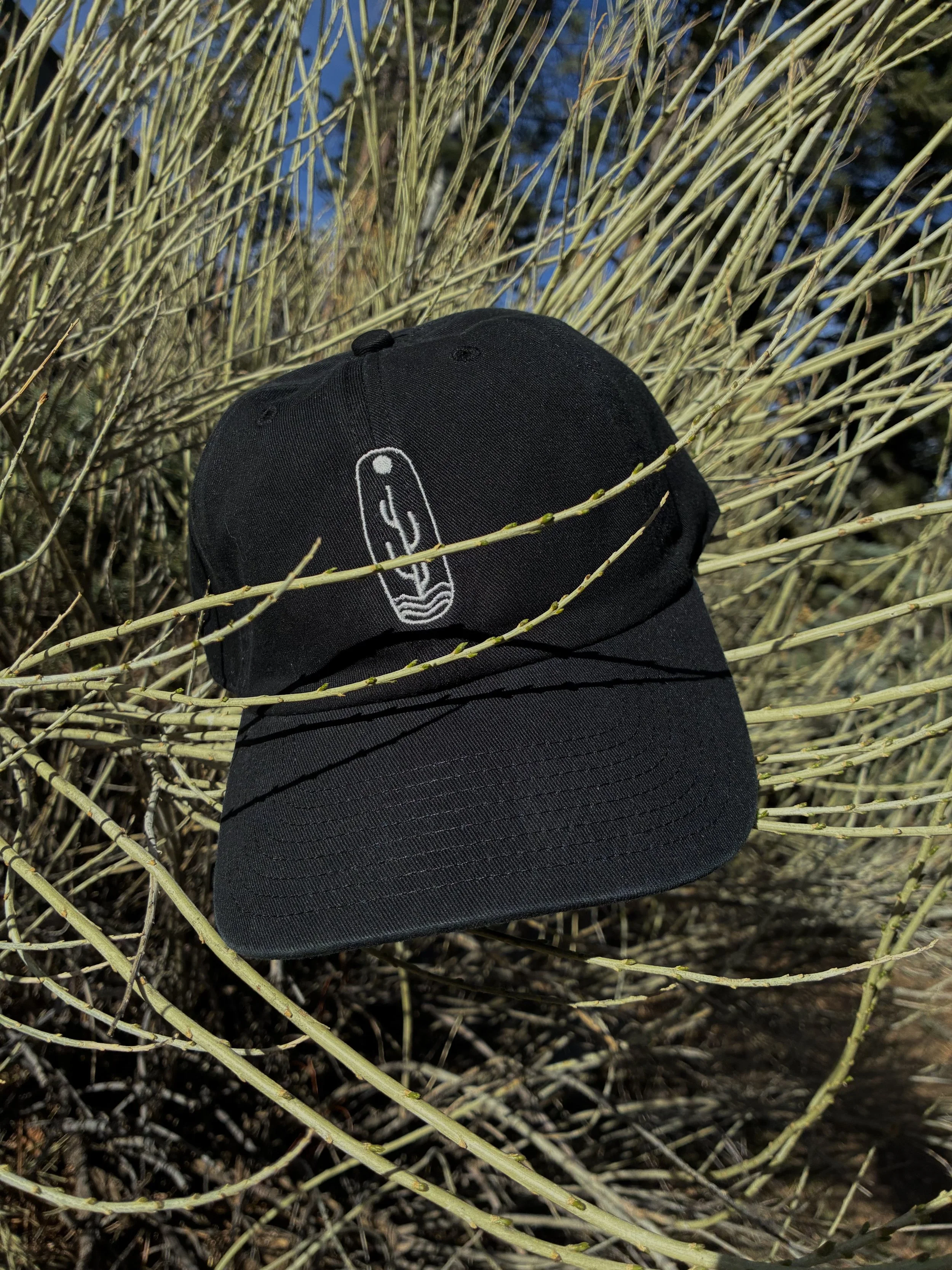 Cactus Dad Hat 01.jpeg