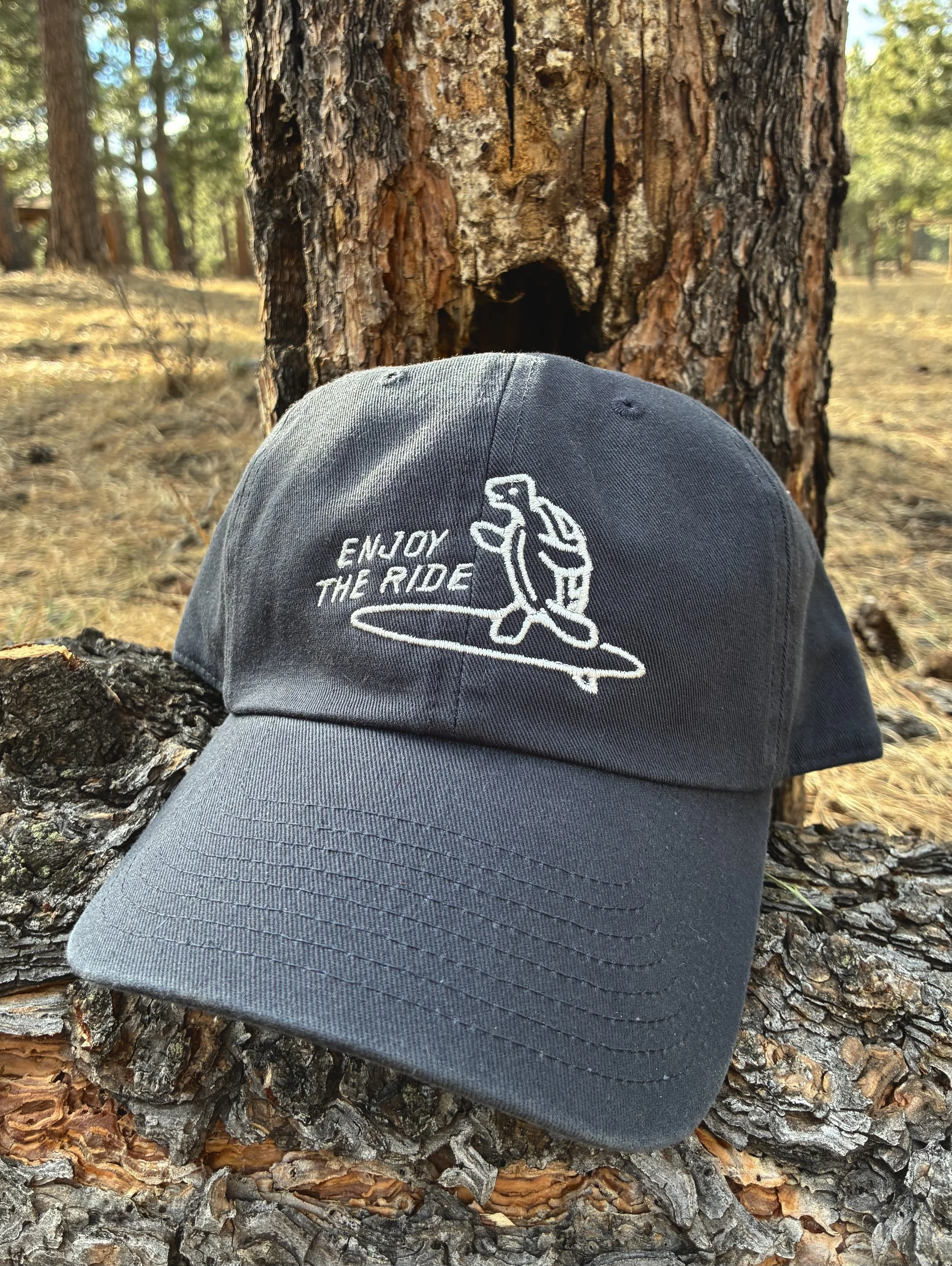 Embroidered Surfing Turtle Dad Hat