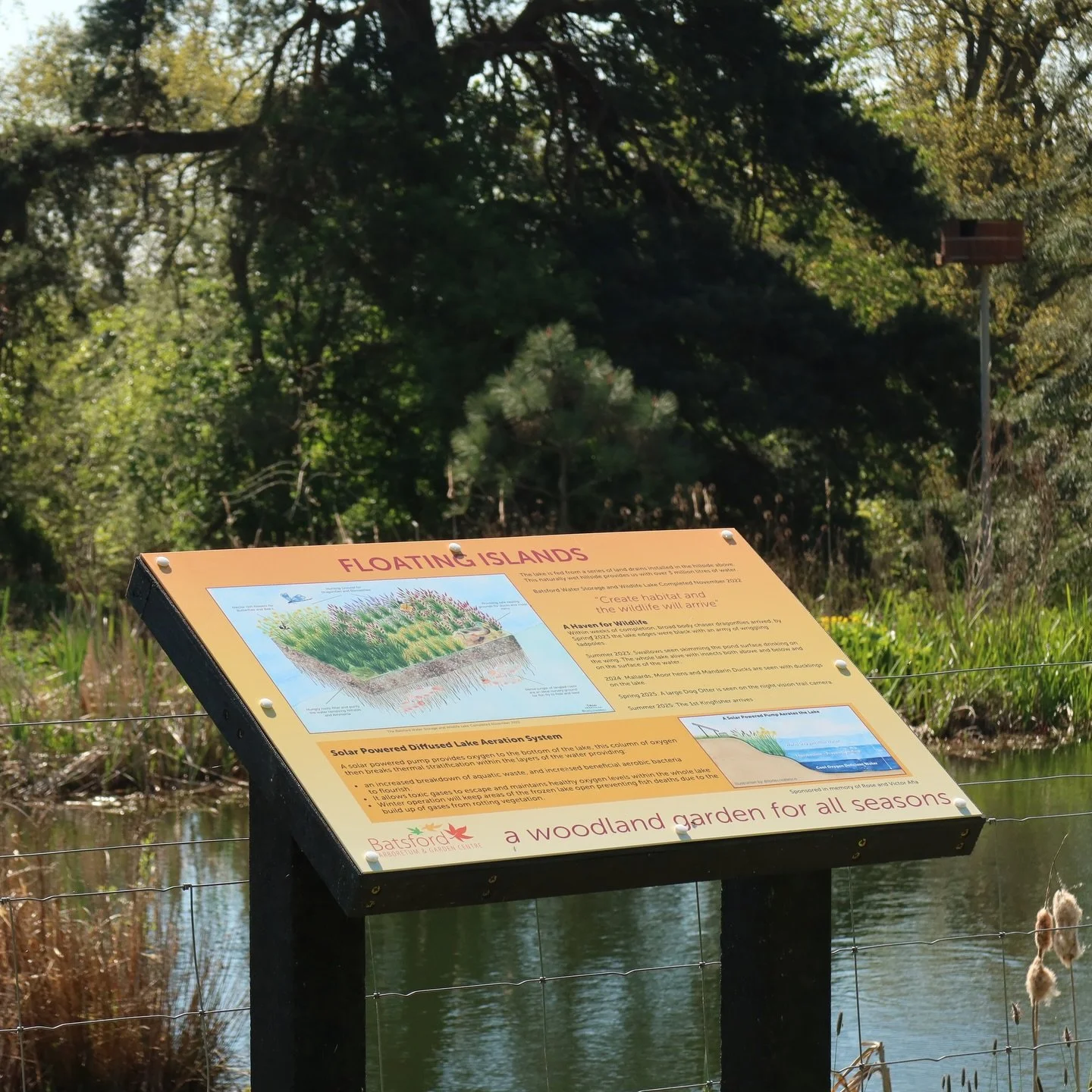 Such an exciting project to work on for @batsforda 🌿

They were looking for artwork that captured their floating islands and solar-powered aeration systems, so I created a series of illustrations to bring them to life, and now they&rsquo;ve official