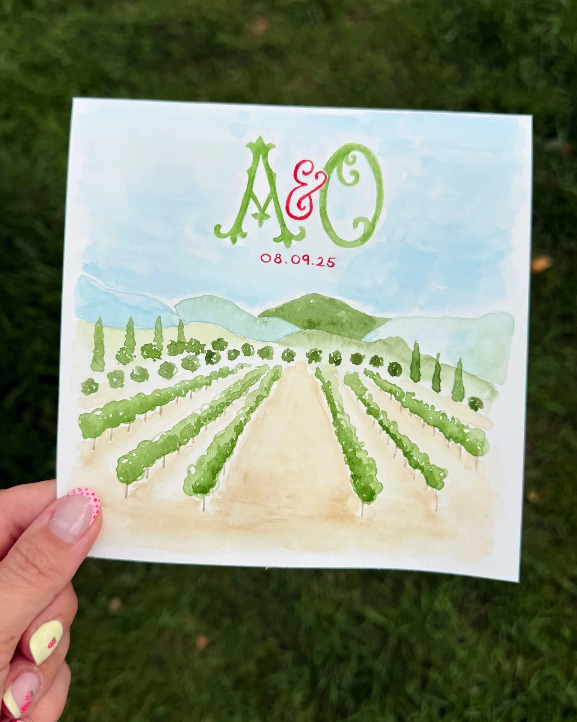 Watercolor illustration of a vineyard with rows of green grapevines, mountains in the background, and a blue sky. At the top, initials 'A & O' and a date '08.09.25' are written.
