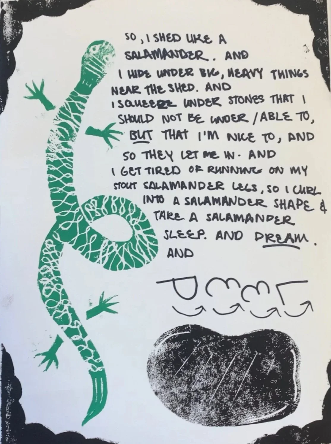 A drawing of a green salamander on the left side of a white background with black decorative border. To the right of the salamander, handwritten text explains the story of how the salamander was created by hiding and squishing under stones, then curl