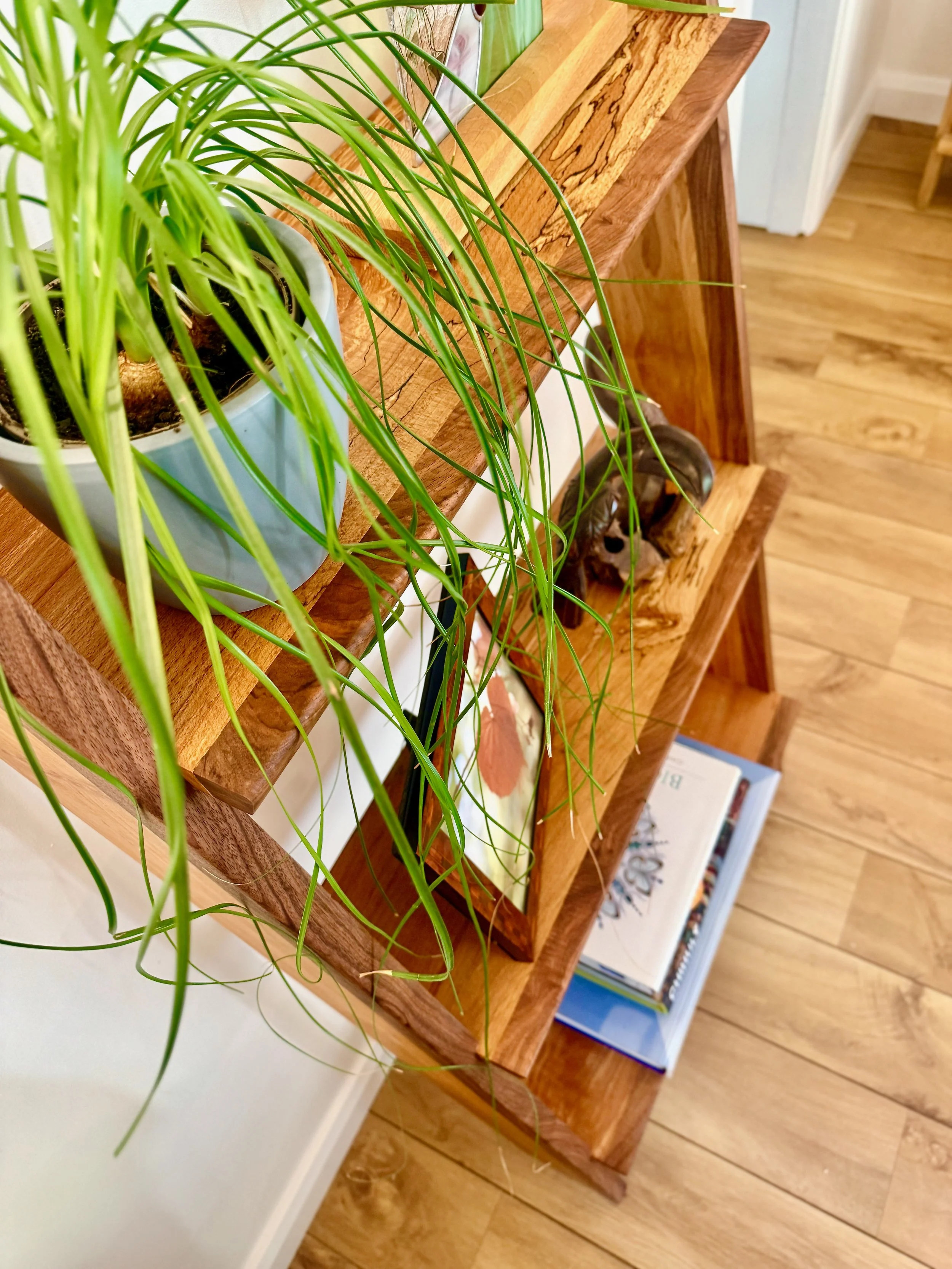 Handmade Furniture Ladder Shelf in situ 4