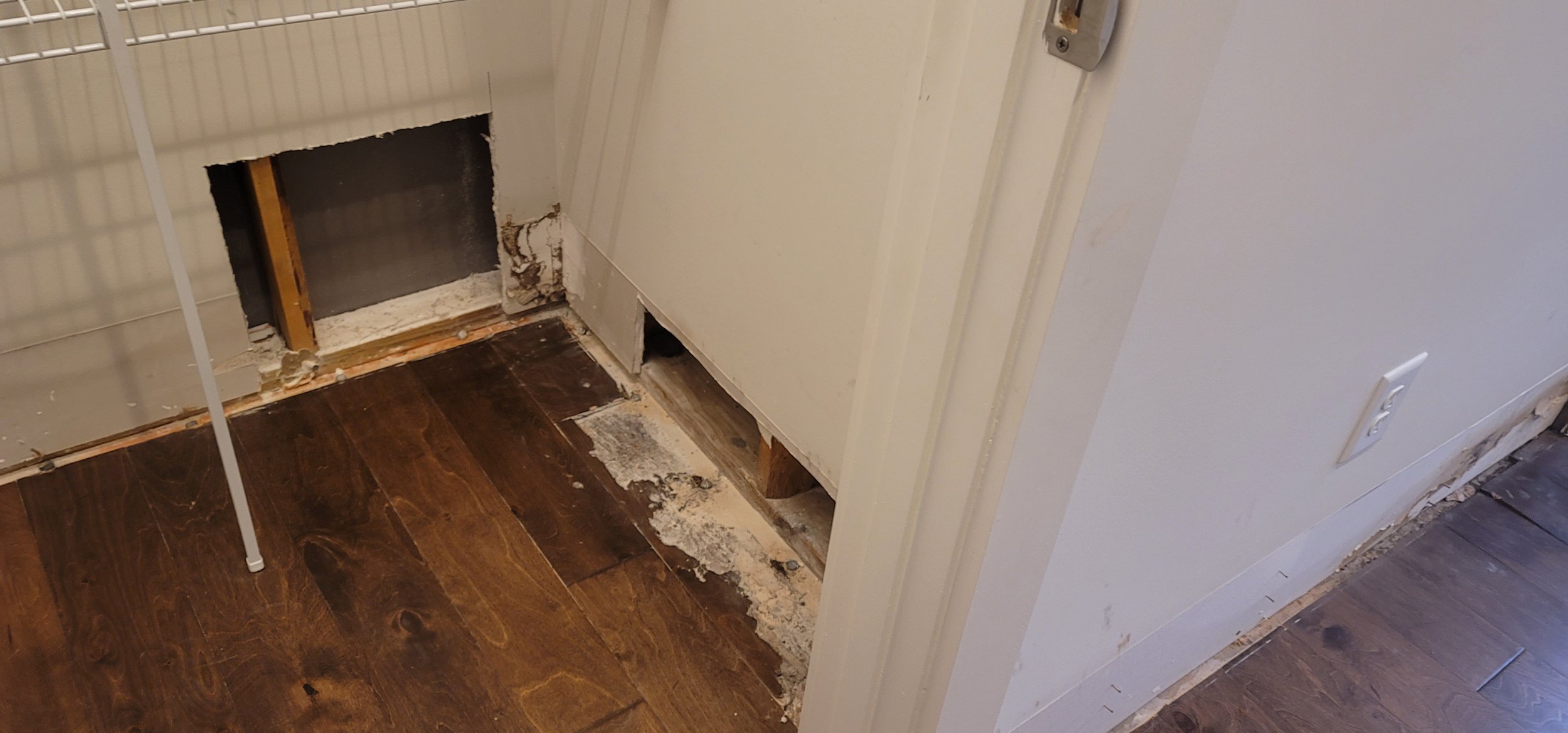Termite and Water Damage