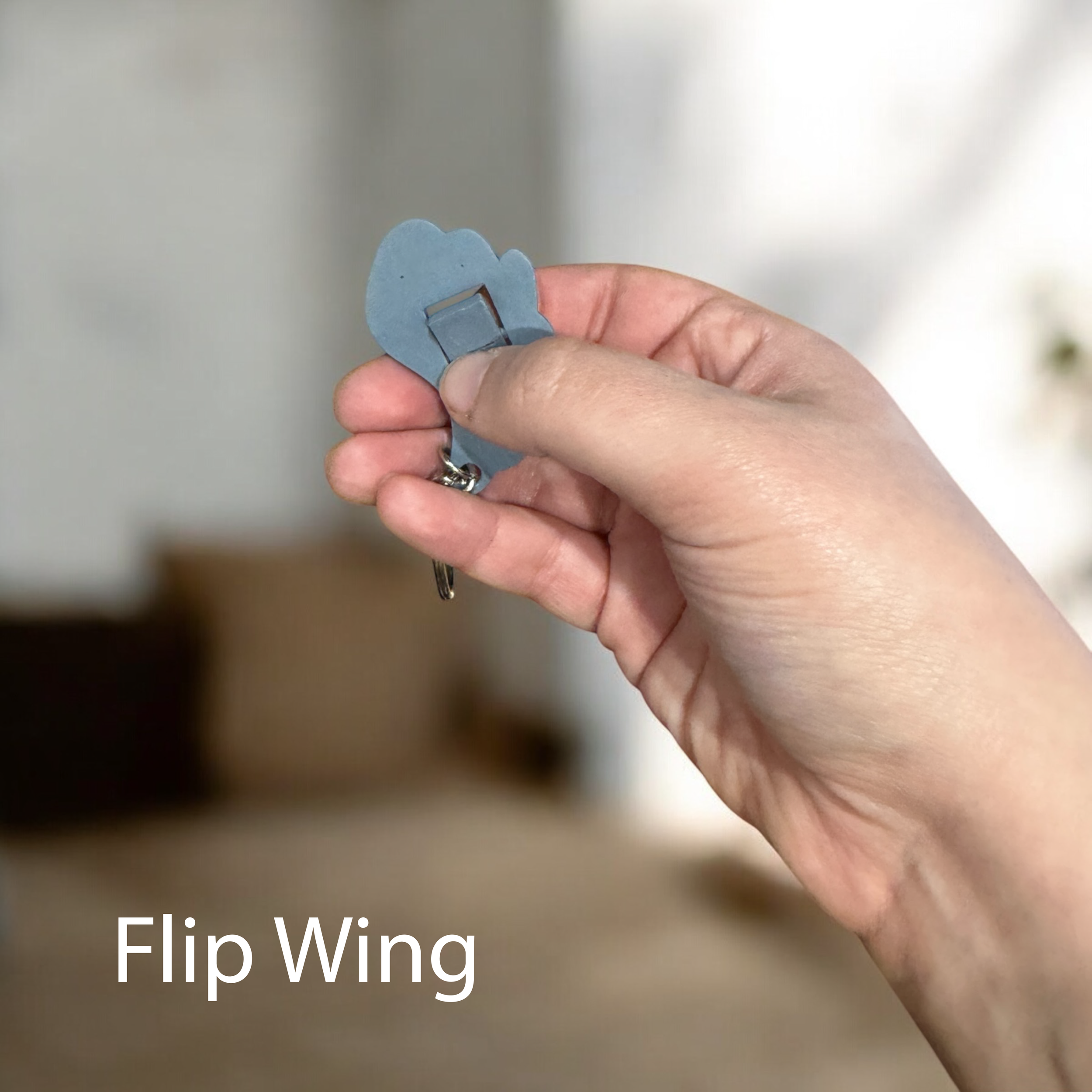 FlipWing.png