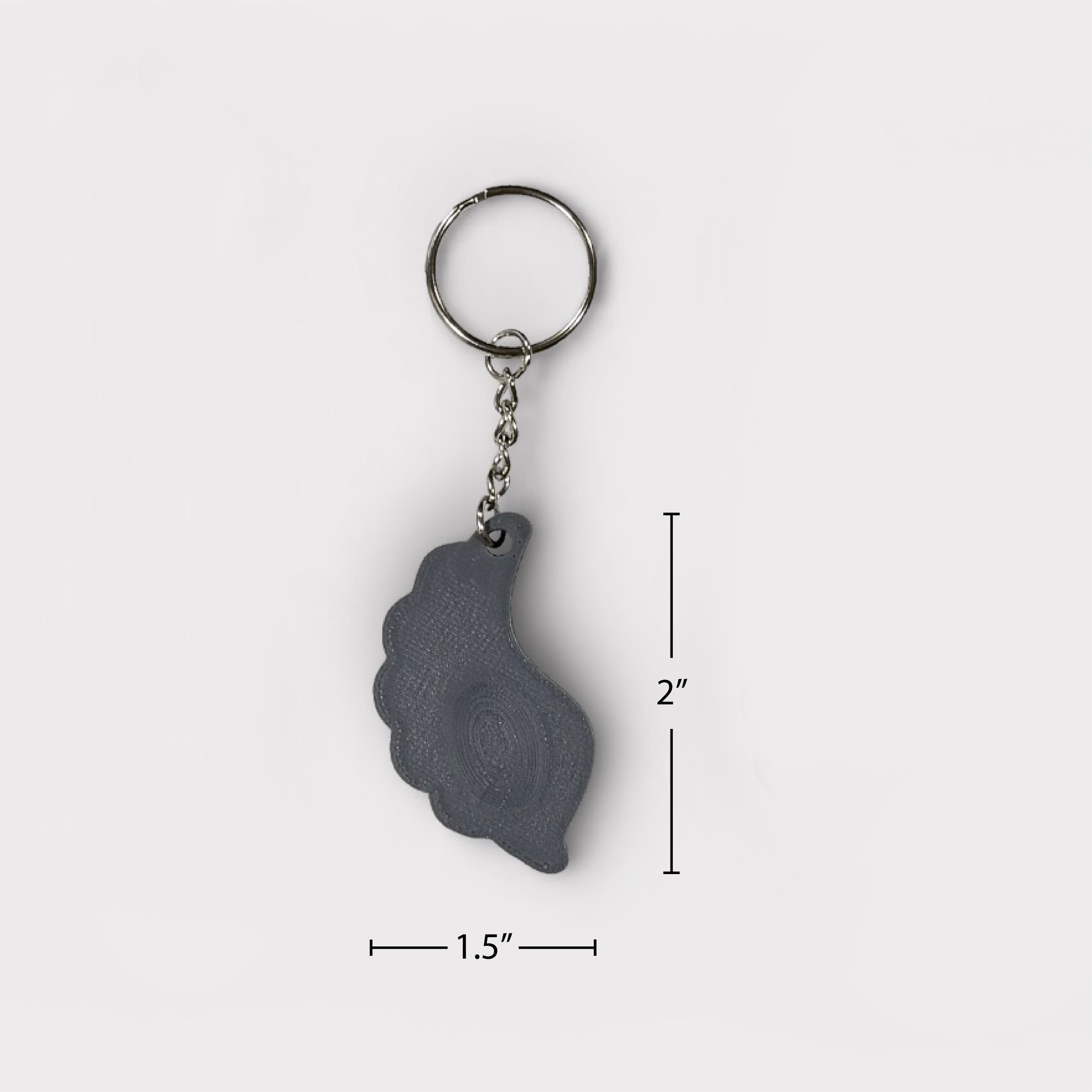 IMG_1307_Measured.png