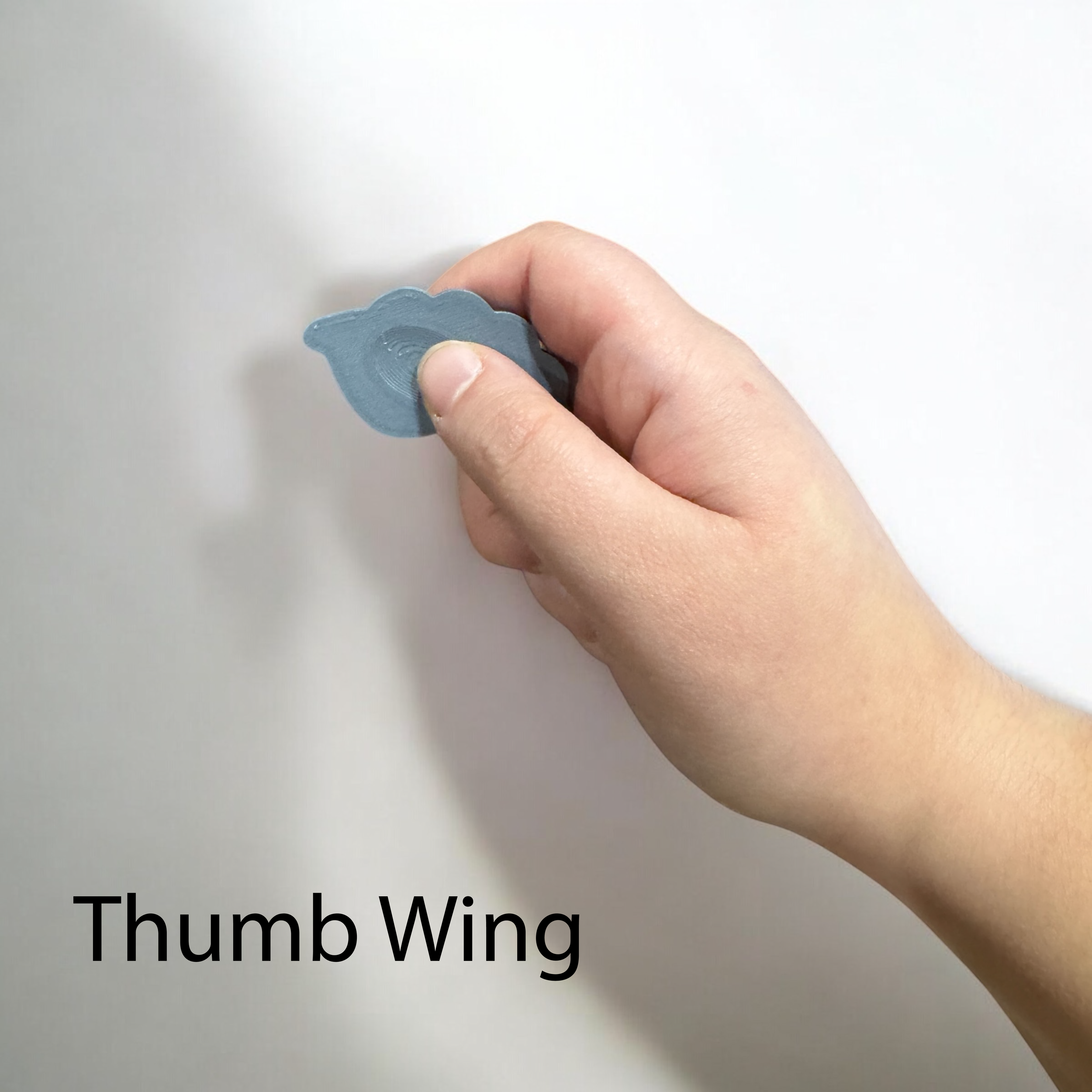 ThumbWing.png