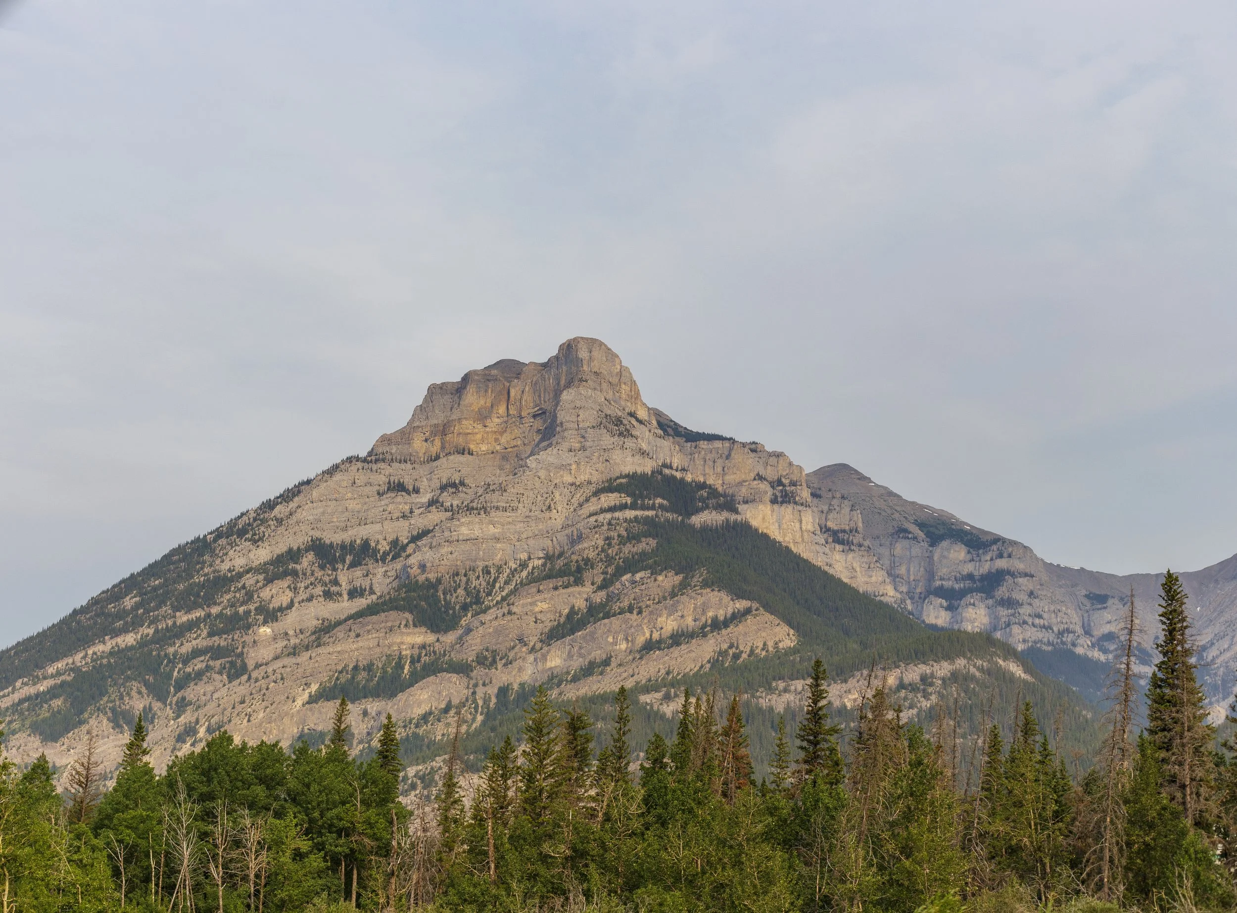 IMG_1460.jpg