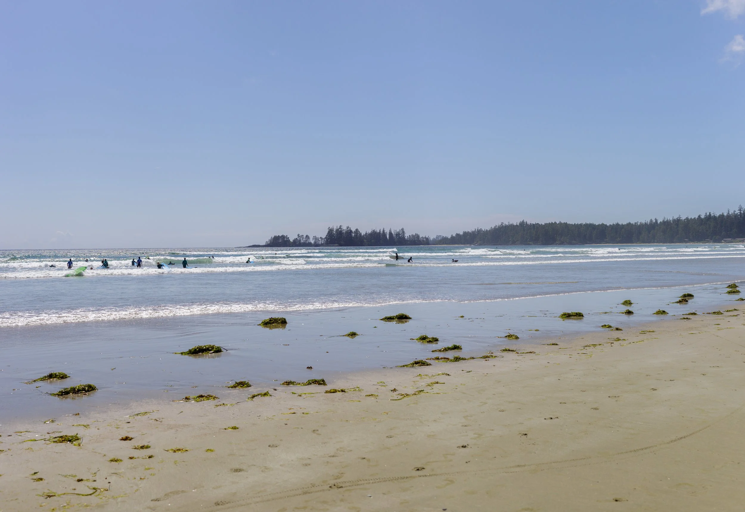 IMG_3685-Pano.jpg