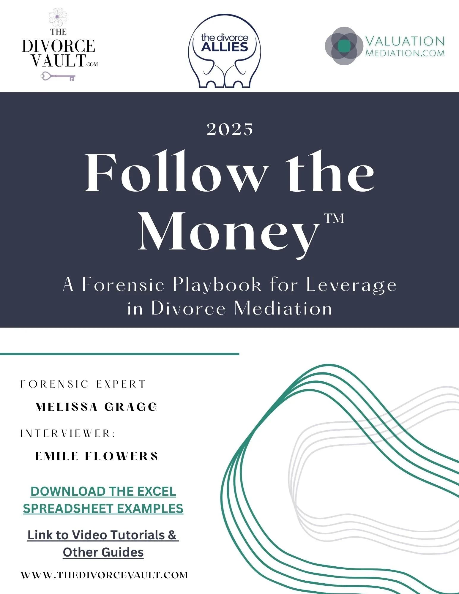 Follow the Money: A Forensic Guide & Excel Templates