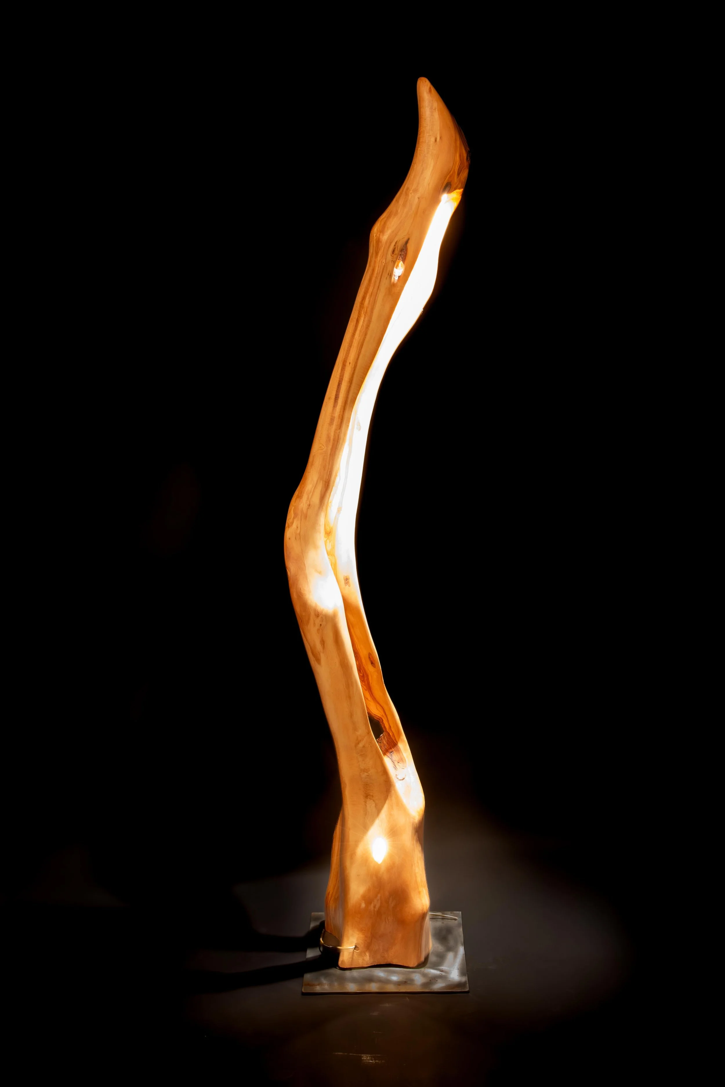 Slender Olive 5-1.jpg