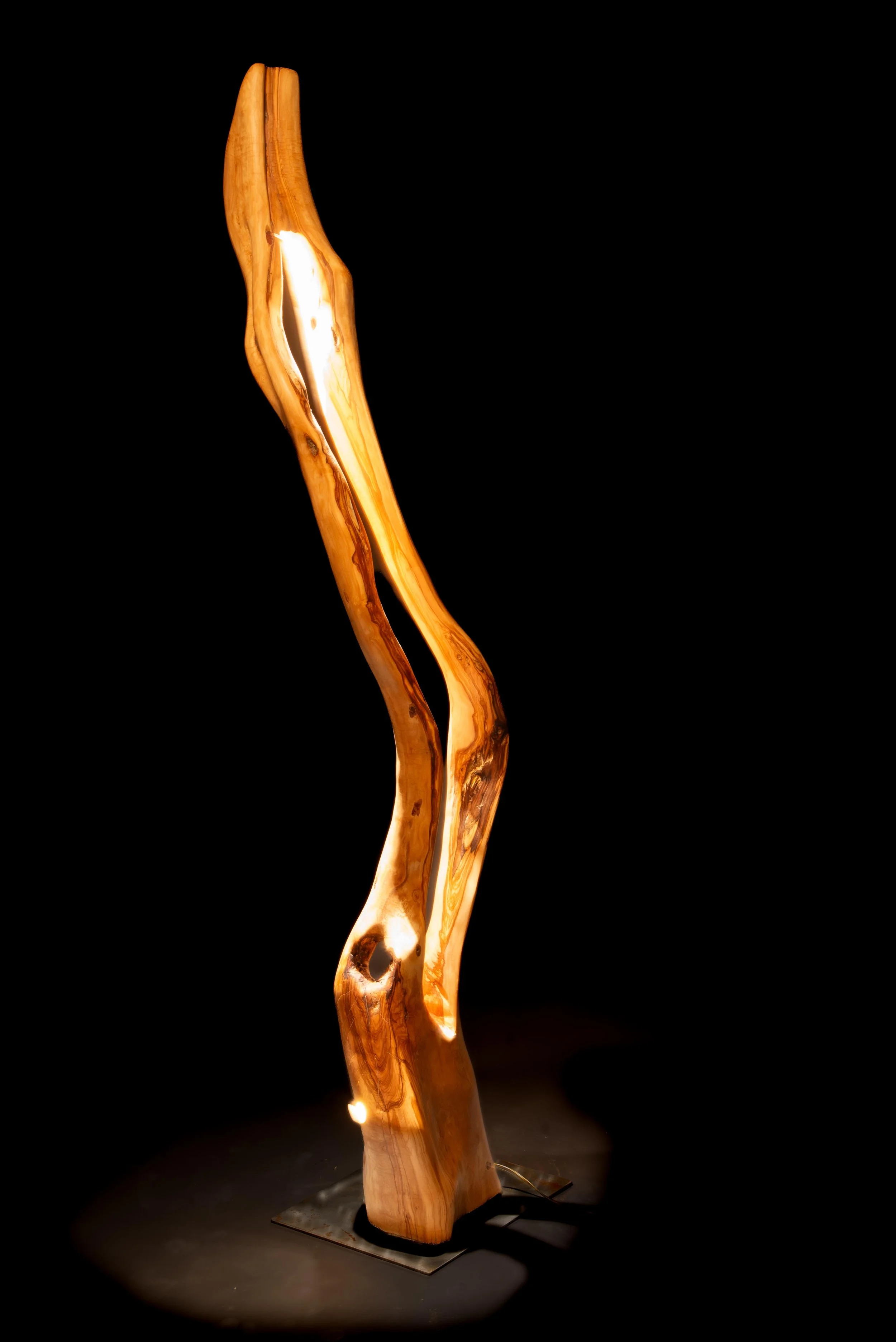 Slender Olive 3-1.jpg