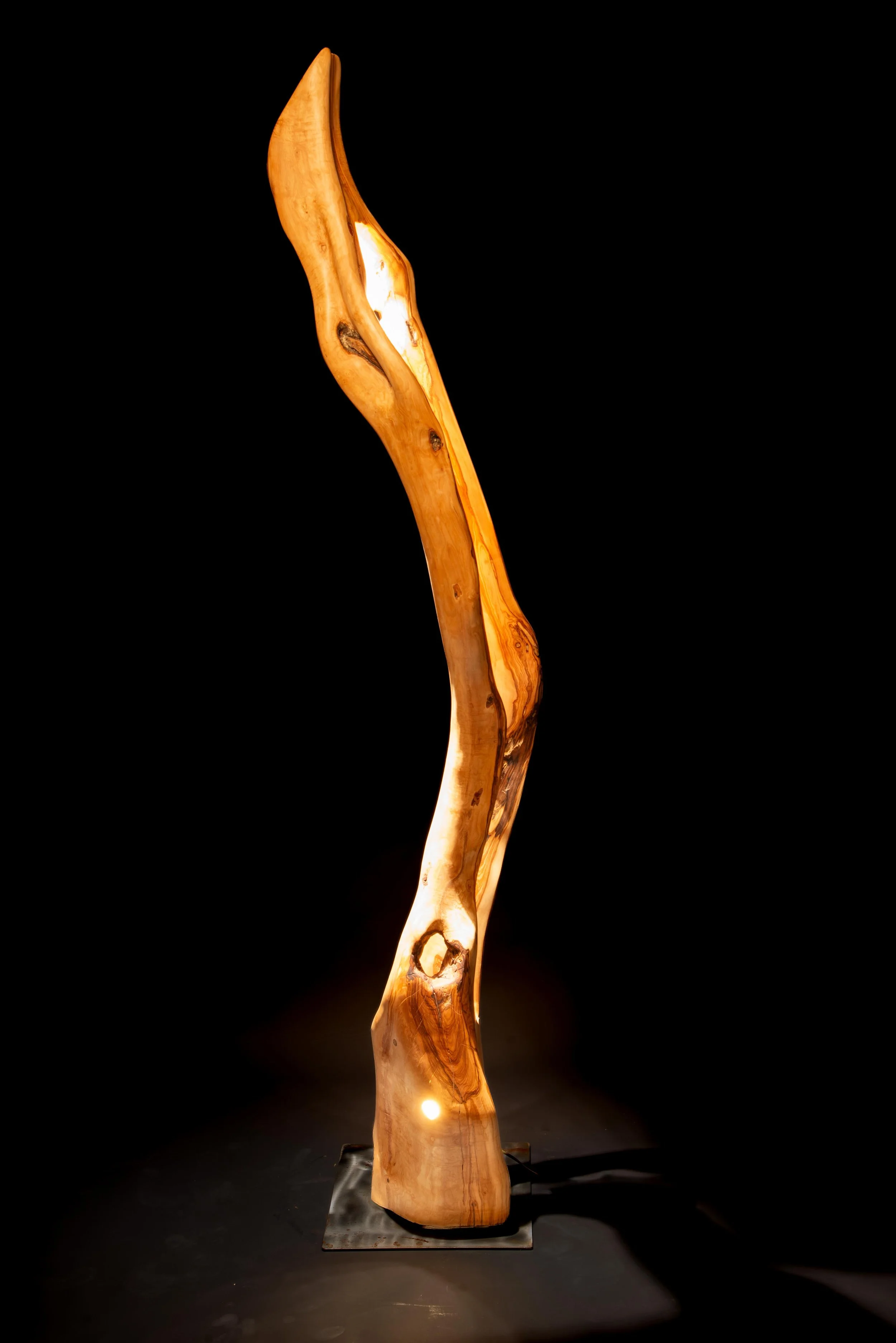 Slender Olive 2-1.jpg