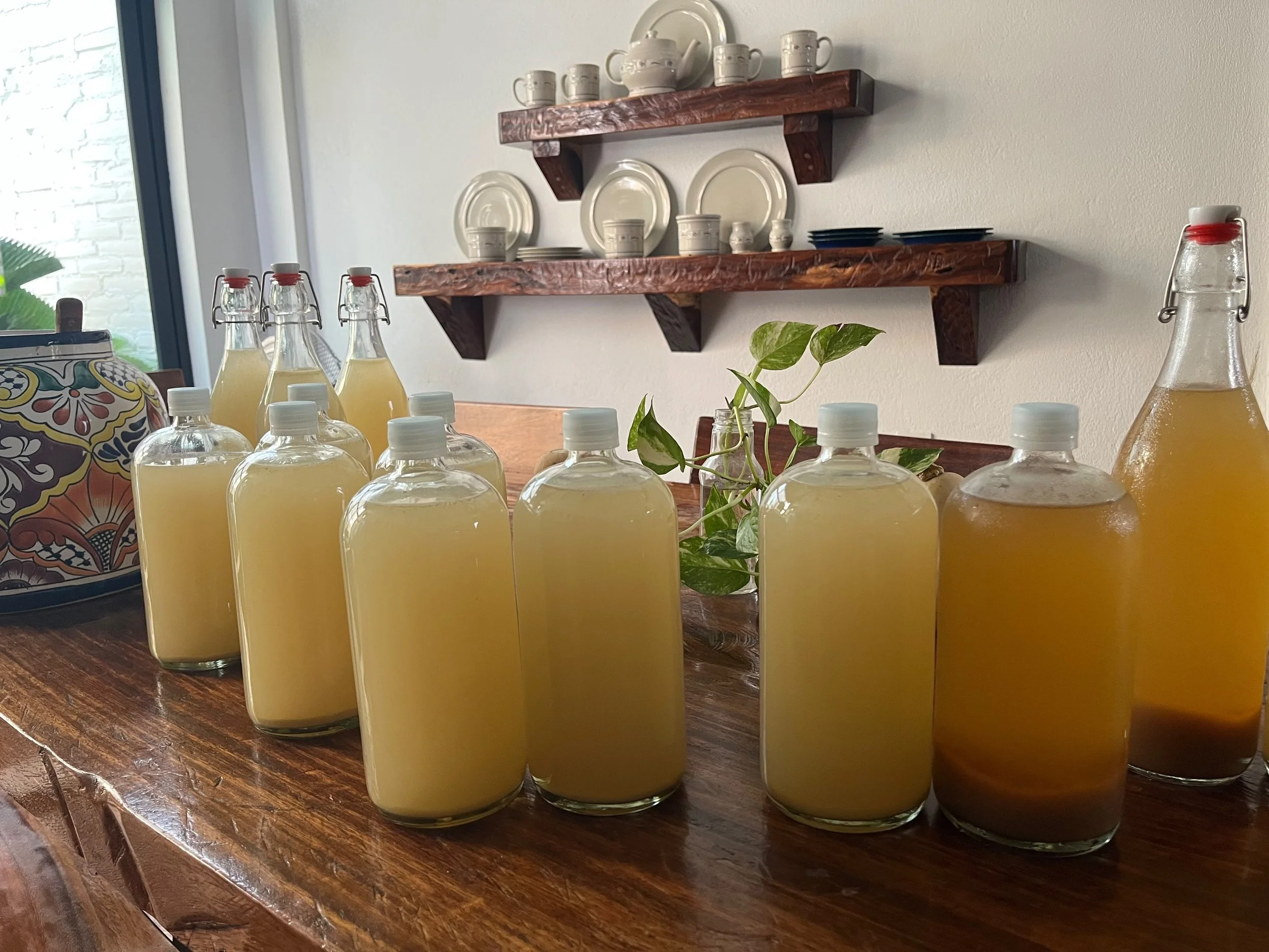 A wooden table holding many glass bottles filled with a yellow beverage, some with closures, and a leafy plant in the foreground. In the background, there are dark blue plates, white ceramics, and floating wooden shelves displaying white dishes and cups.