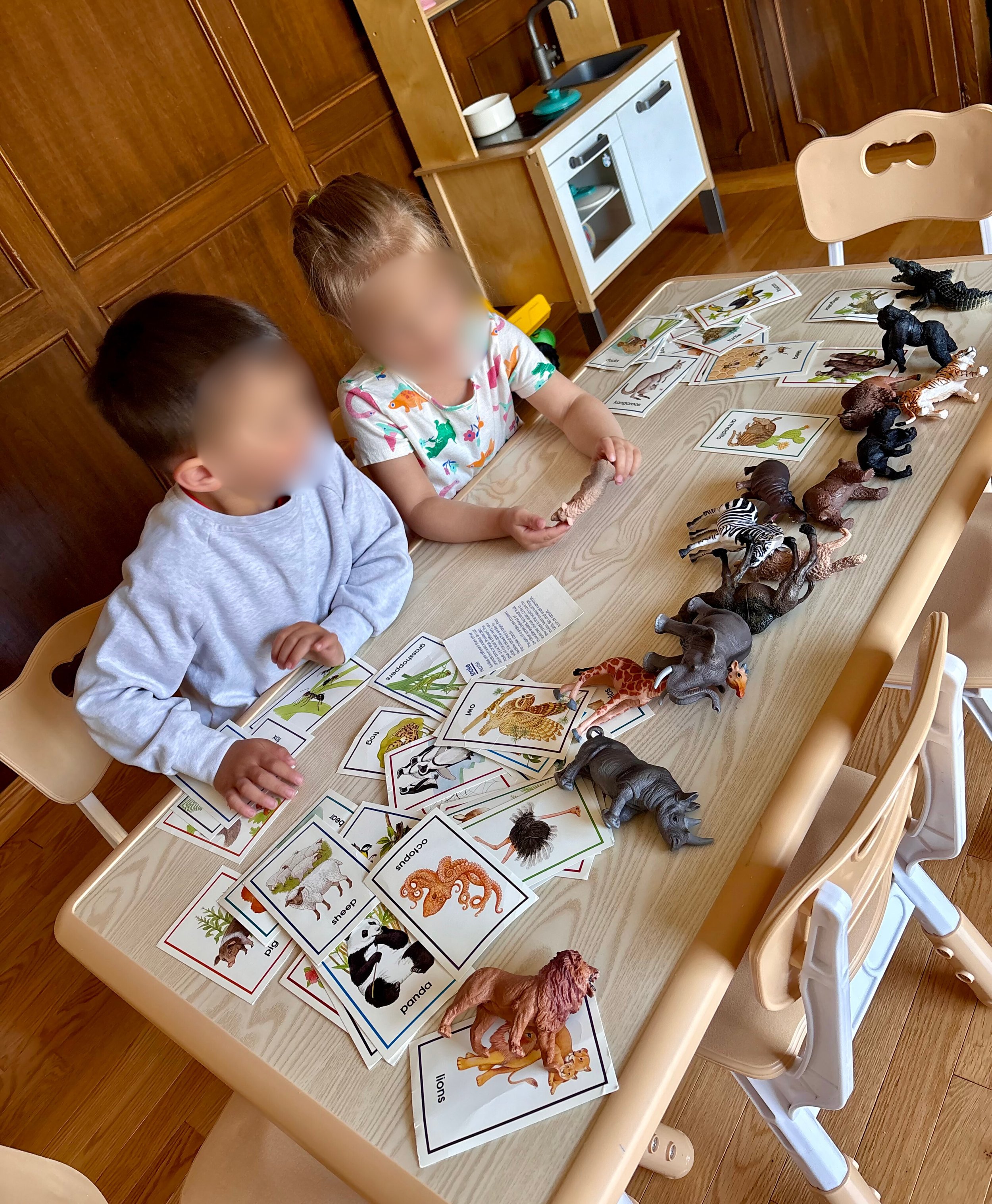 Two children sitting at a light-colored wooden table with animal figurines, picture cards, and alphabet cards with animal names, engaged in a learning activity about animals.