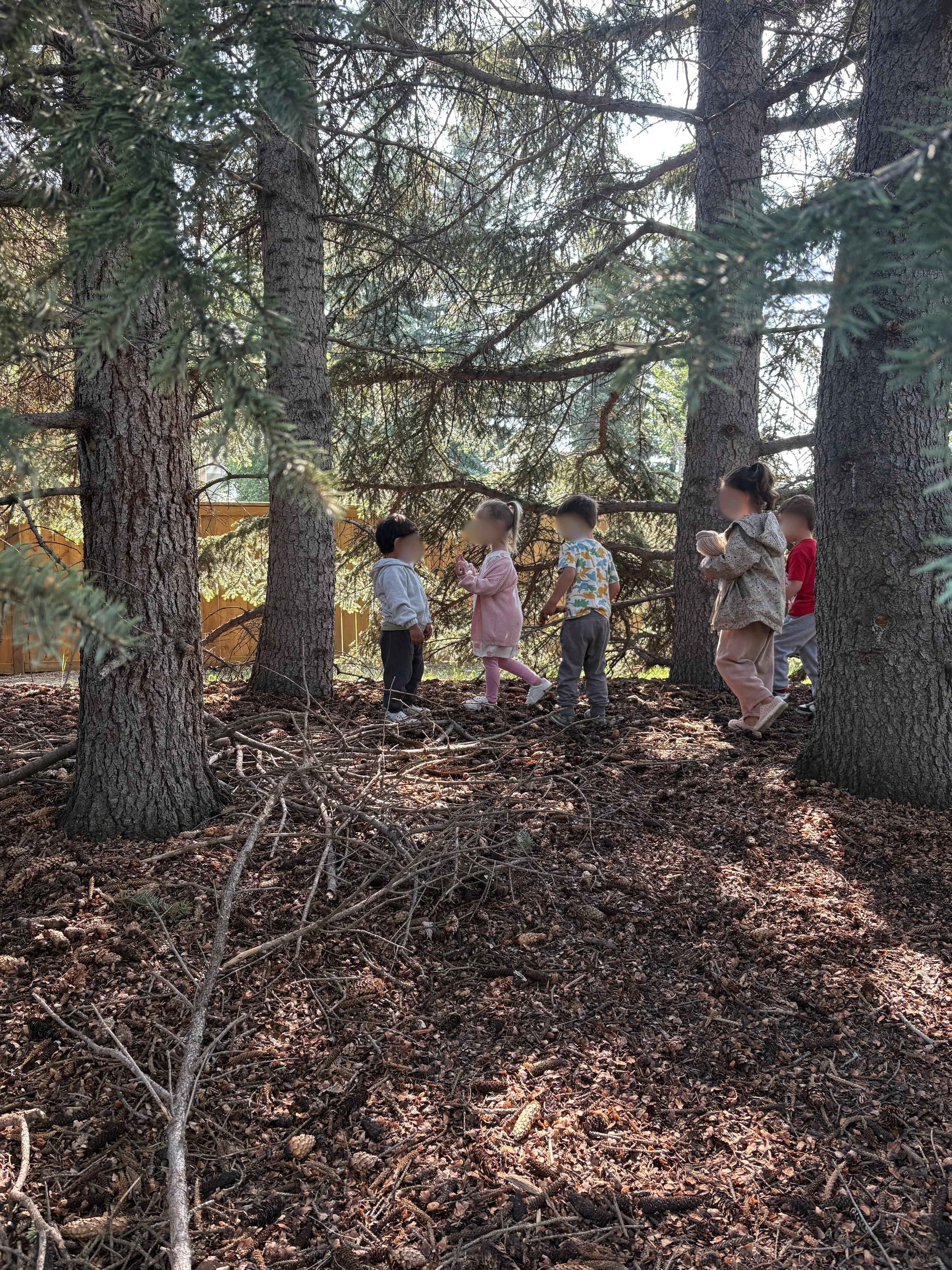 Group of children standing on a wooded forest floor, surrounded by tall trees, with some children holding small objects.