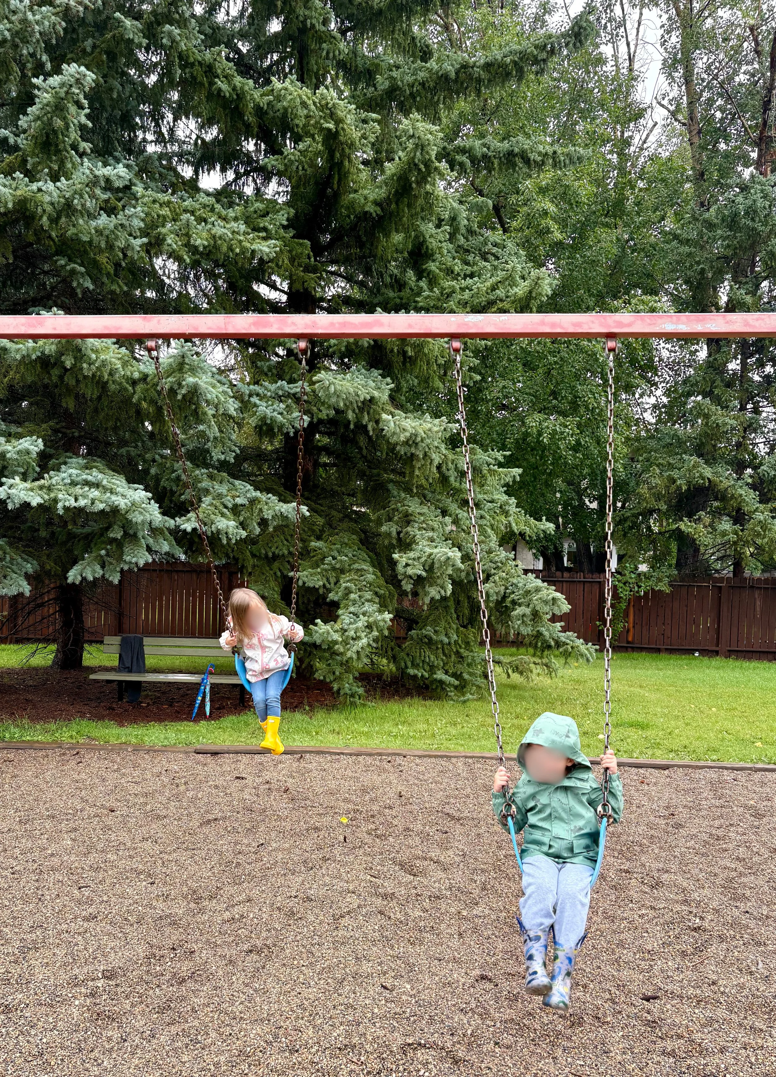 Two children on swings at a playground, with large evergreen trees and a wooden fence in the background.